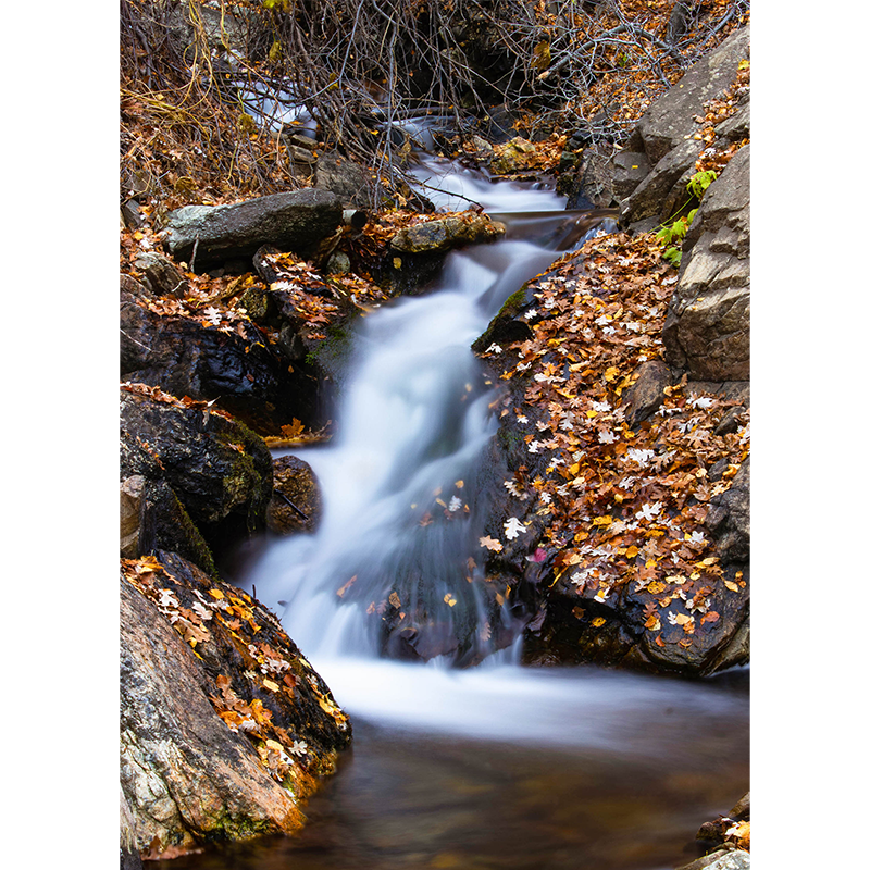 photo_001_disp.png
