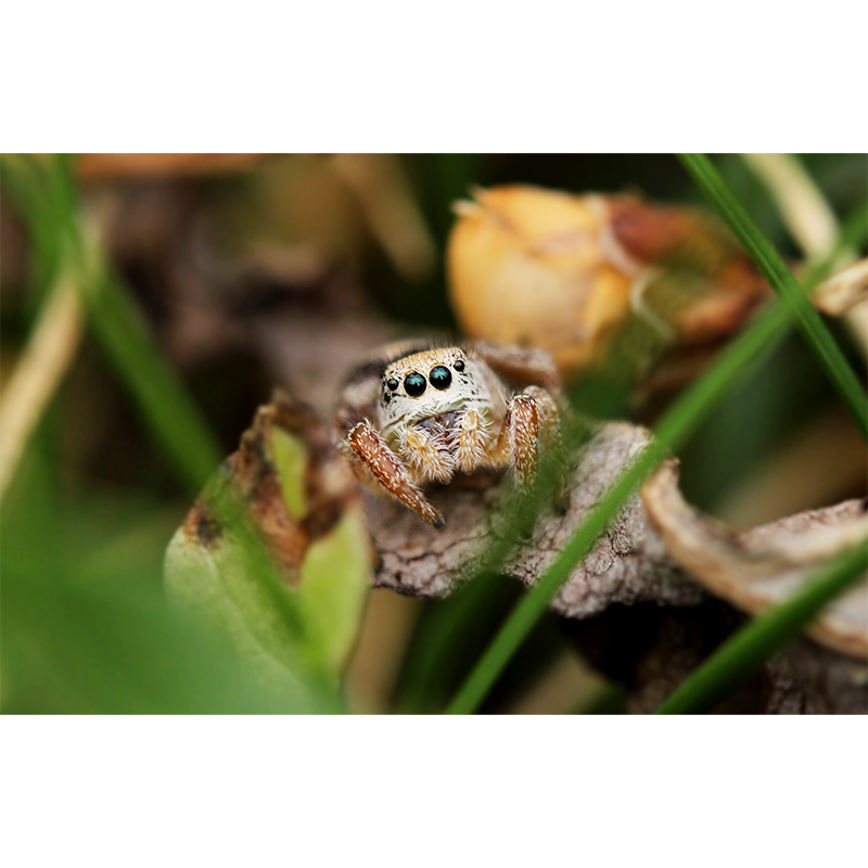 photo_015_disp.png
