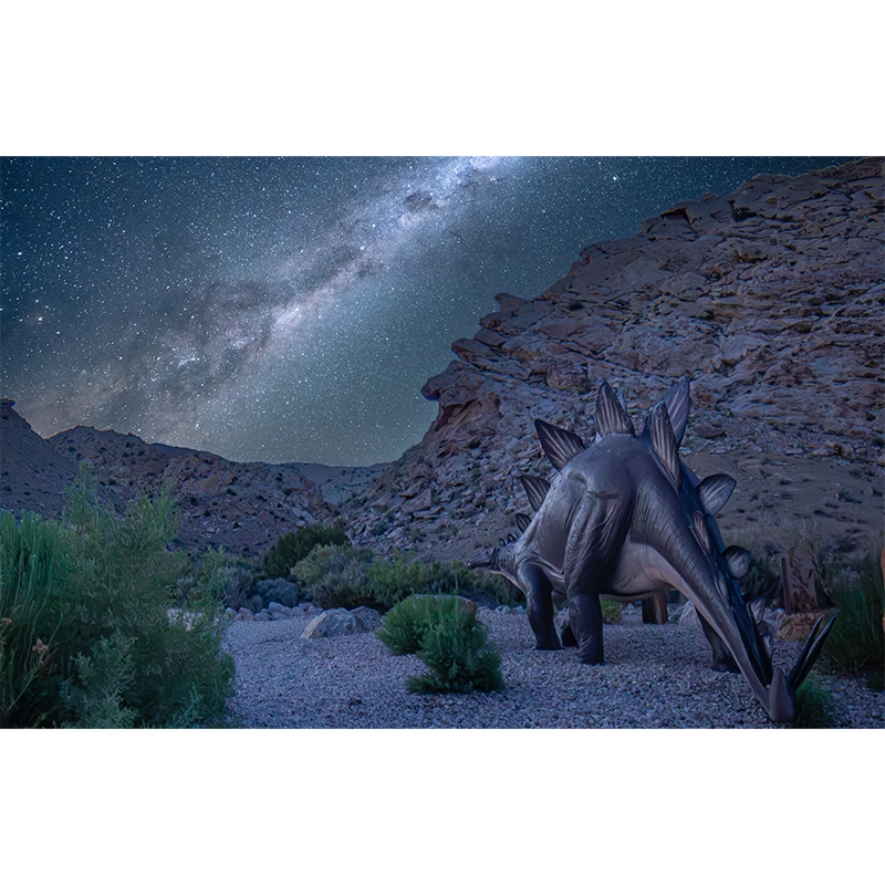 photo_005_disp.png