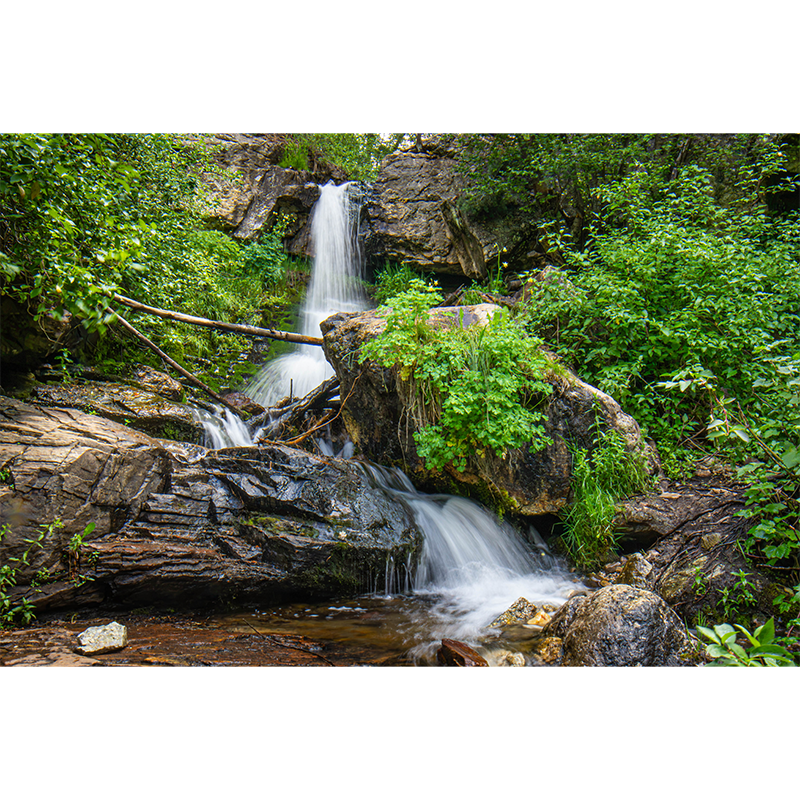 photo_021_disp.png