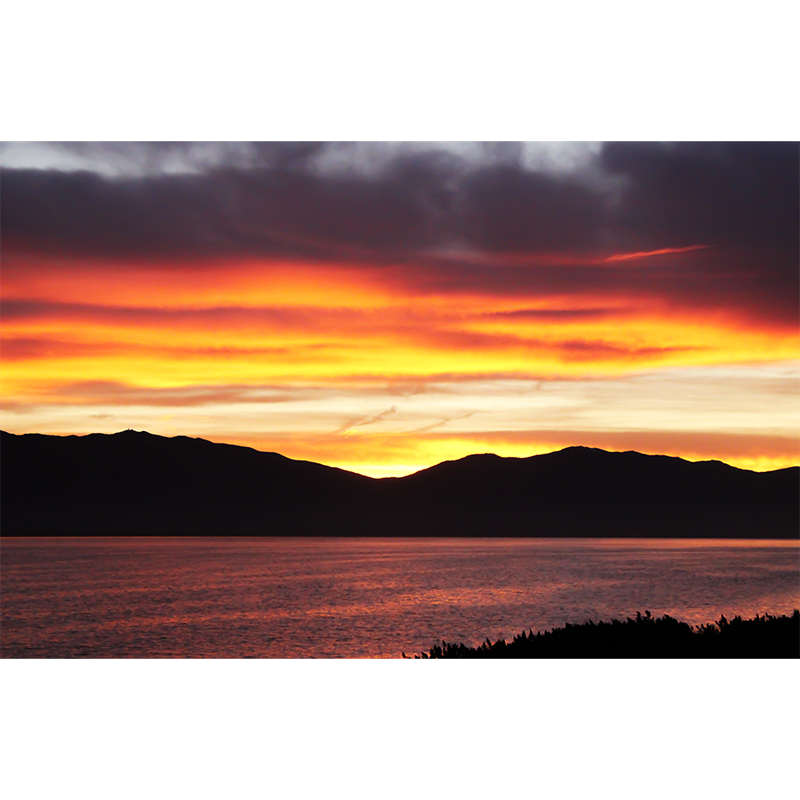 photo_004_disp.png