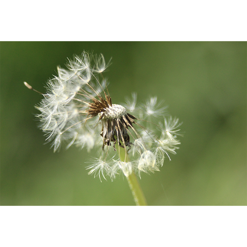 photo_016_disp.png