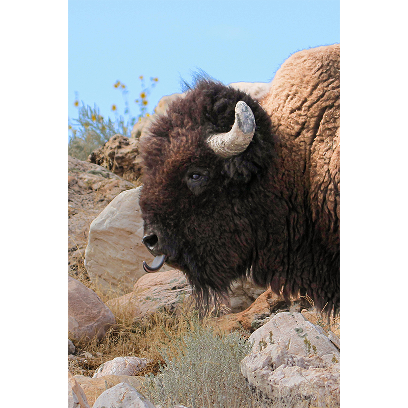photo_002_disp.png