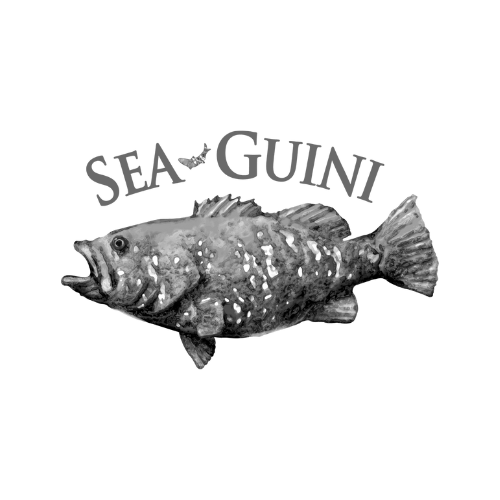 Logo 13