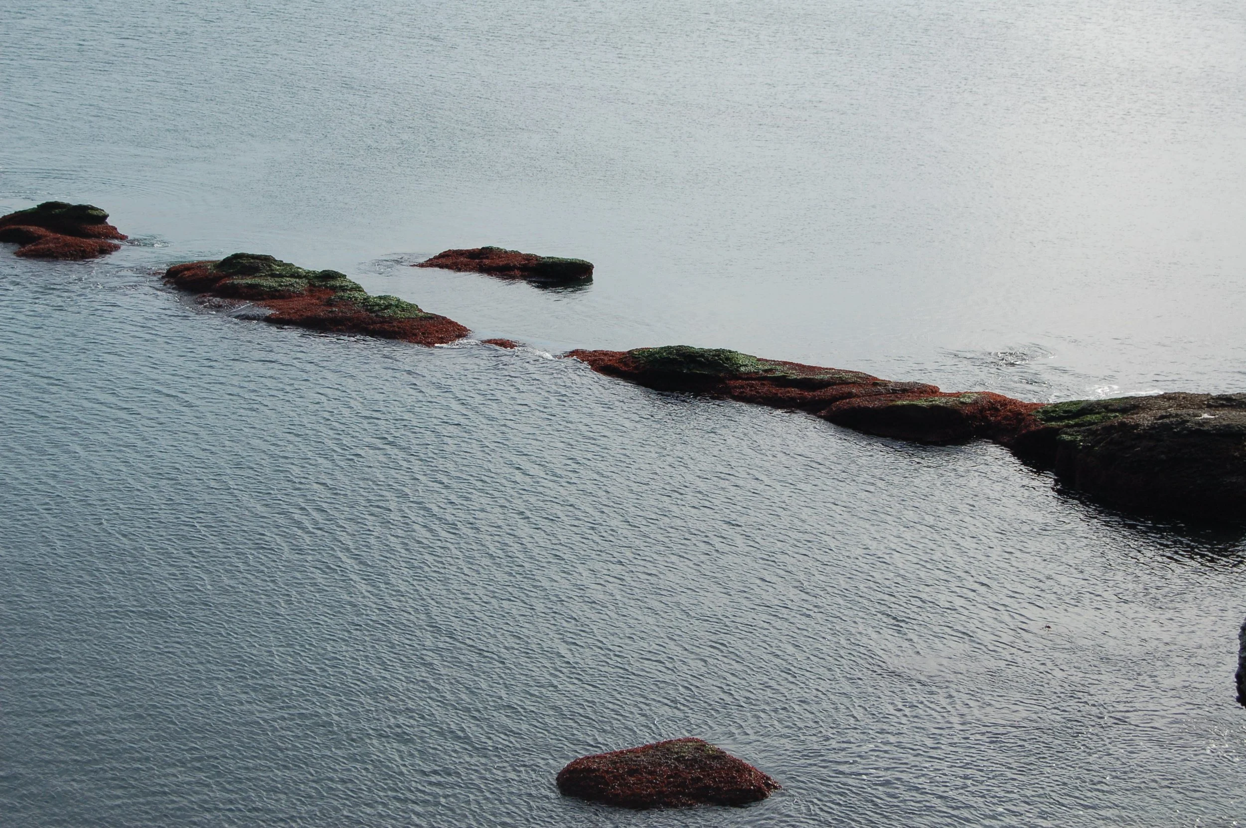 EHA rocks DSC_0054.JPG