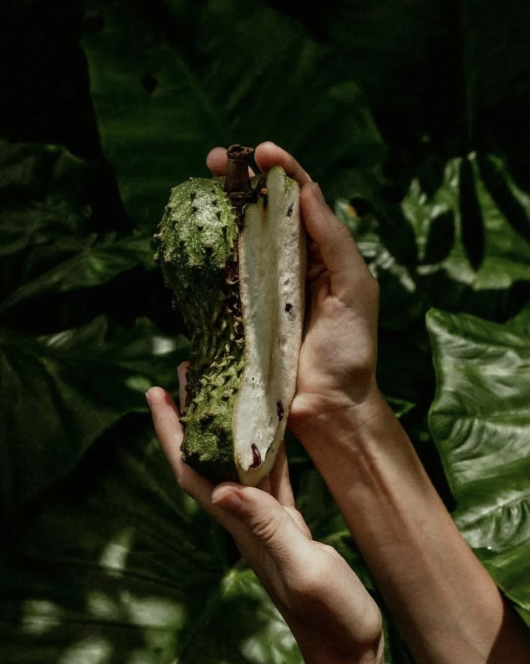 Guanabana