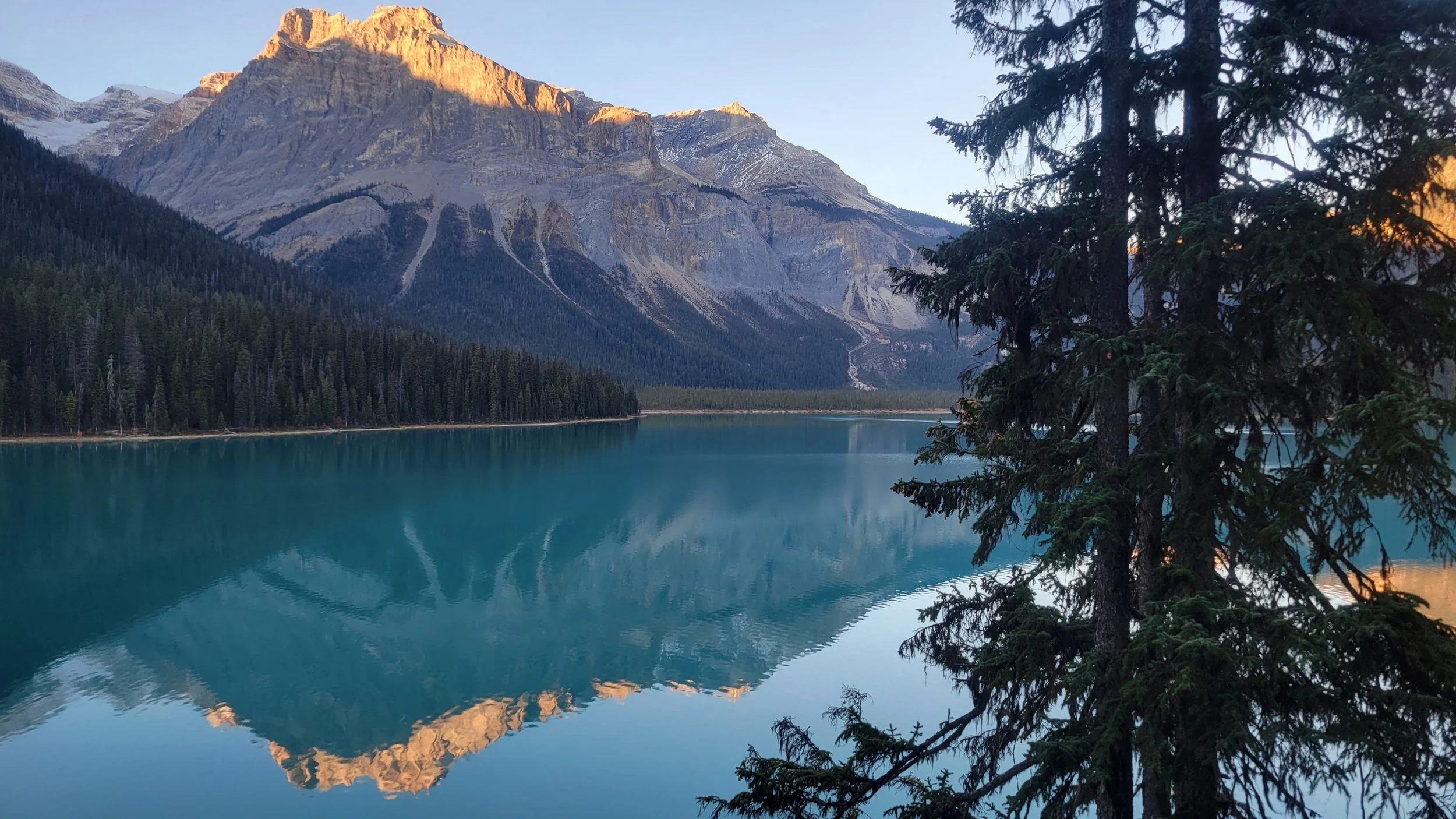 What do Lifestyle and Individual Beliefs Have to do With Holistic Medicine?