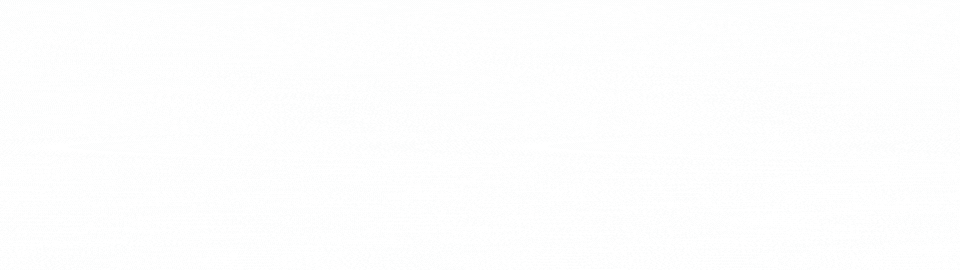 An empty white background with no discernible objects or details.