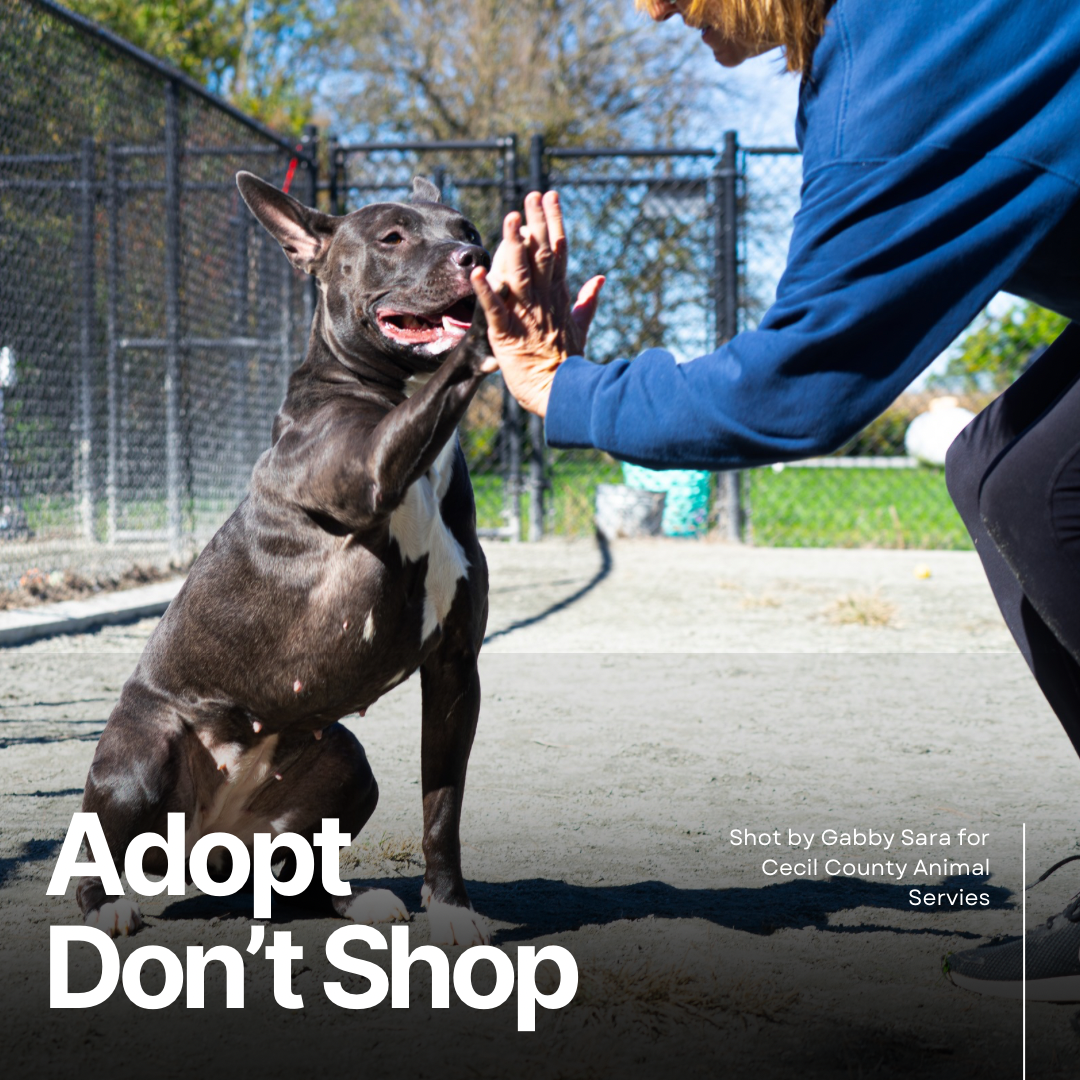 Photo Oct 22 2025, 11 38 03 AM.png