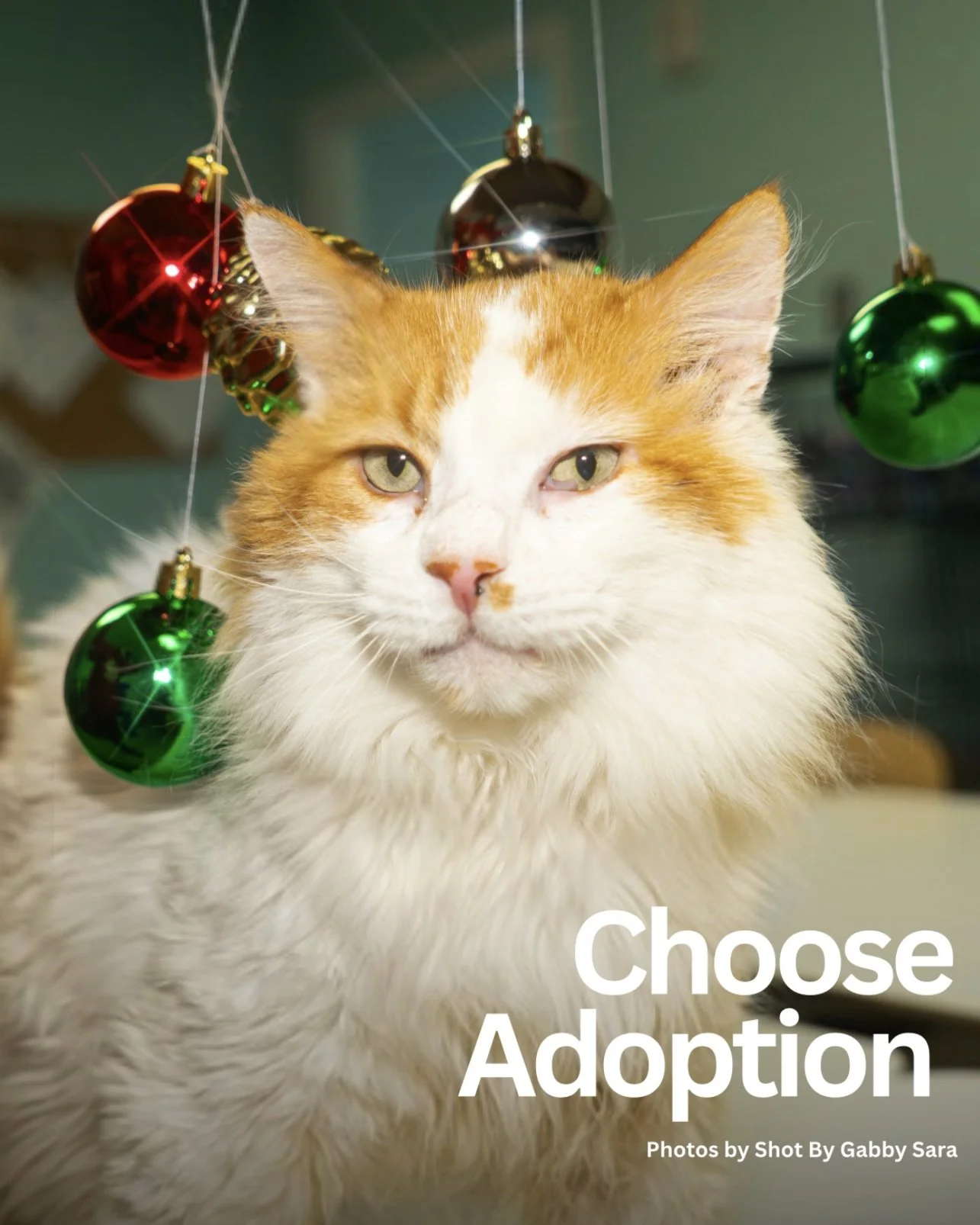 Photo Dec 21 2025, 10 49 46 PM.jpg