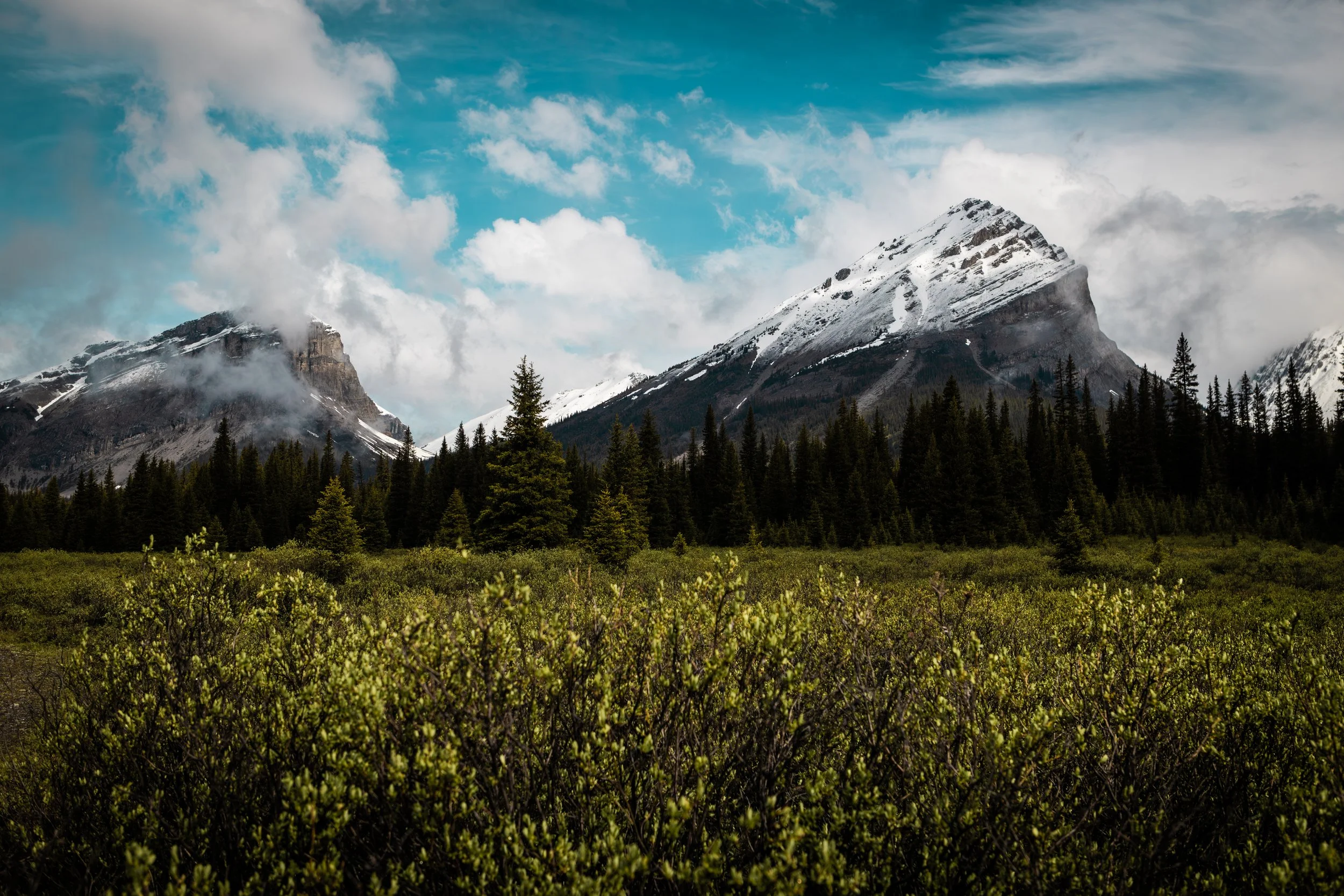 473A7249-Enhanced-NR copy.jpg