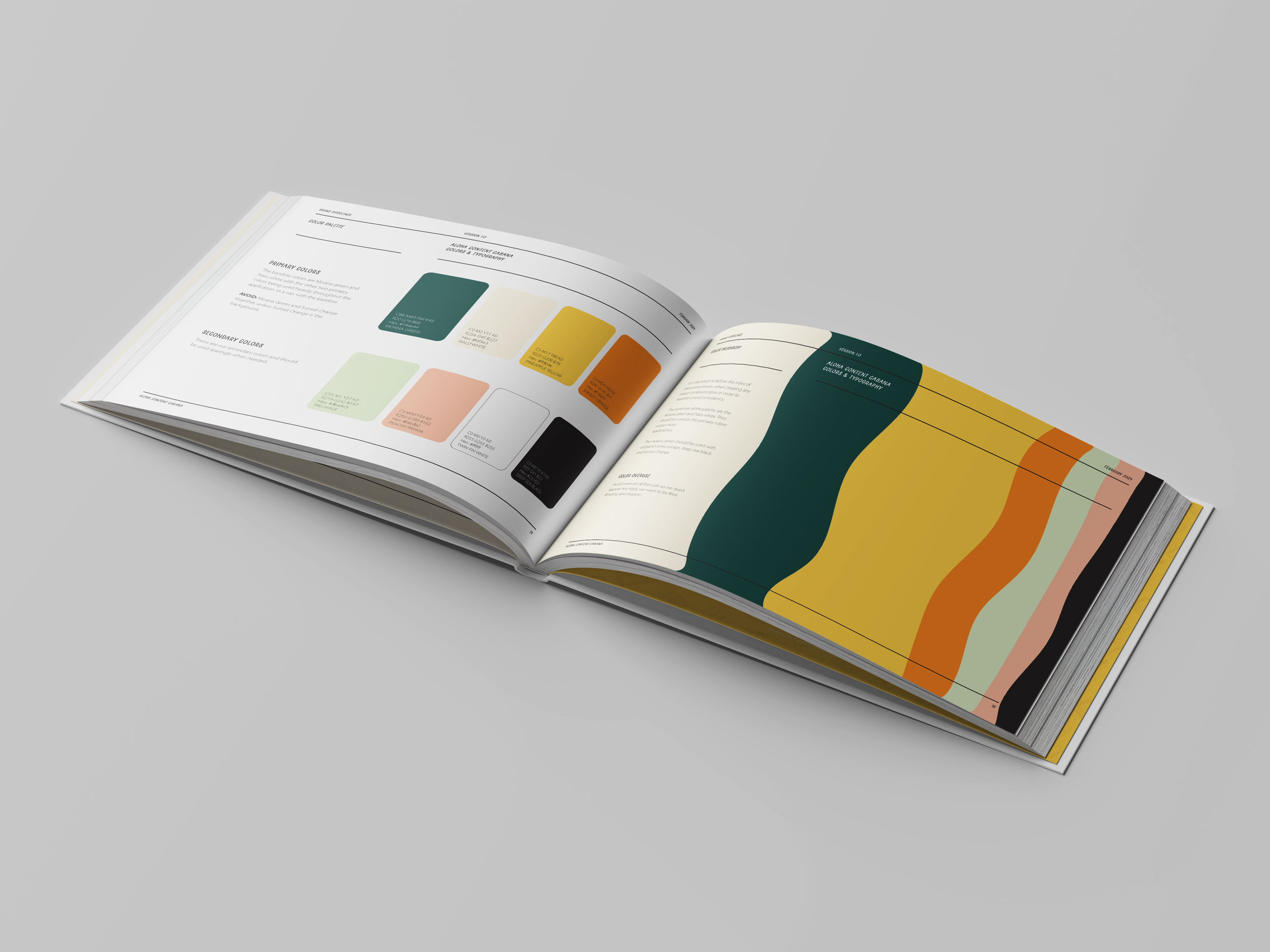 Guidelines Book Colors copy.png