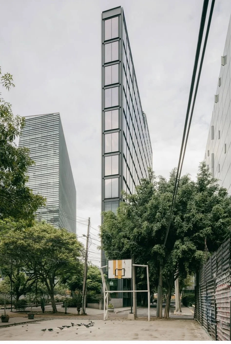 HEMA ( CDMX )