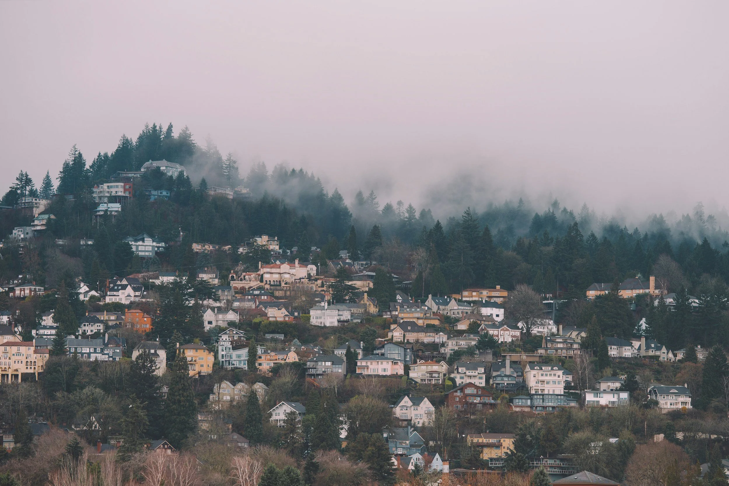 Small PNW town on a hillside with fog above and pine trees between houses