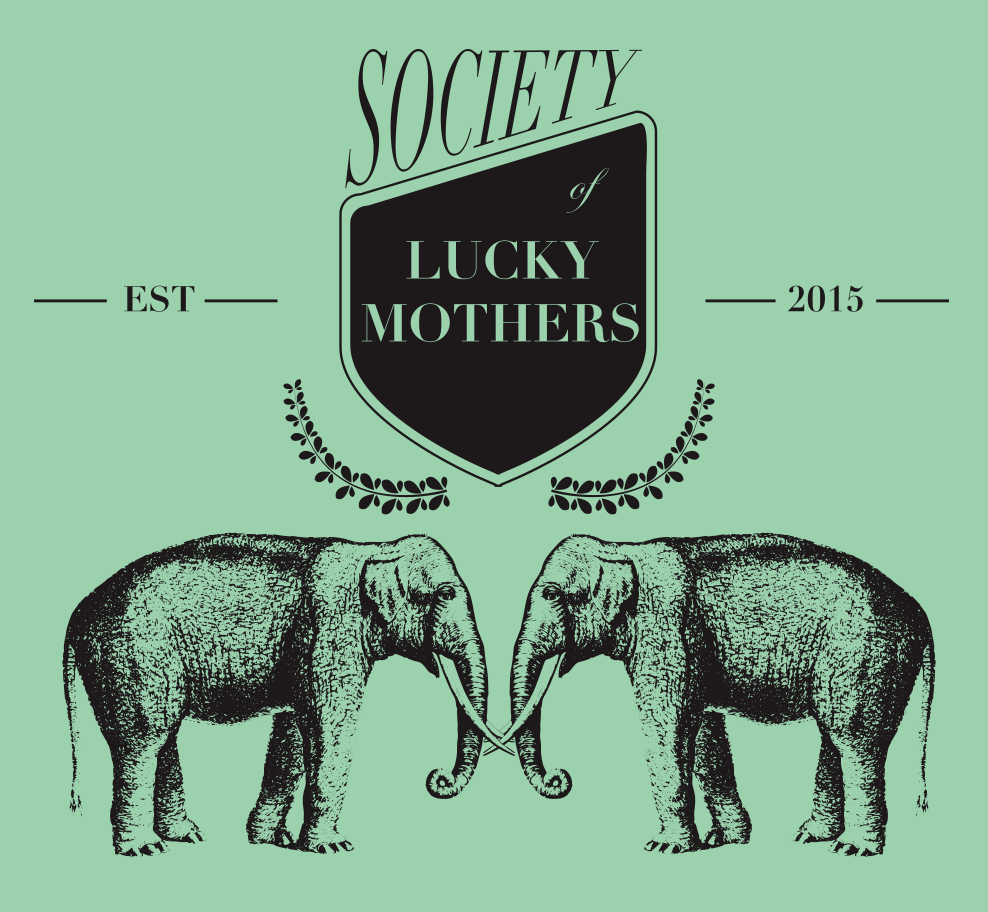 Drag Queen Cake Bootcamp with Society of Lucky Mothers