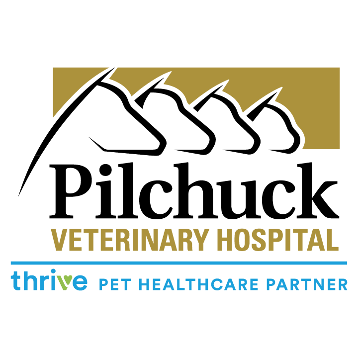 Pilchuck_Veterinary_Hospital.png