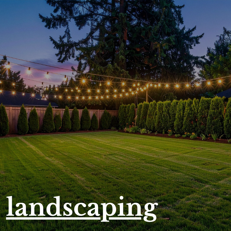 A backyard with neatly mowed grass, evenly spaced tall bushes along a wooden fence, string lights hanging across the yard, and a large tree in the background at dusk.