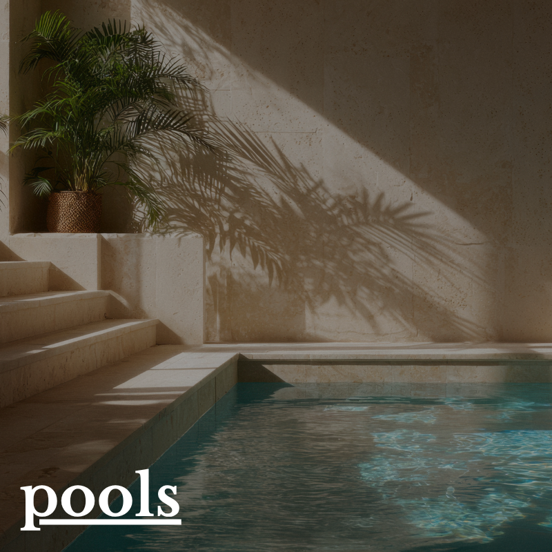 A swimming pool with sunlight casting shadows of a potted plant on a beige wall