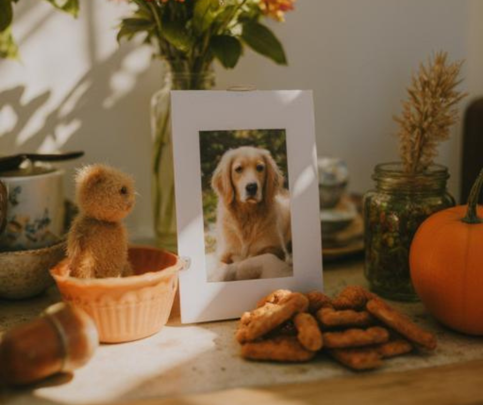 Herdenkingsrituelen voor je overleden huisdier: zo creëer je een heilige ruimte die troost biedt