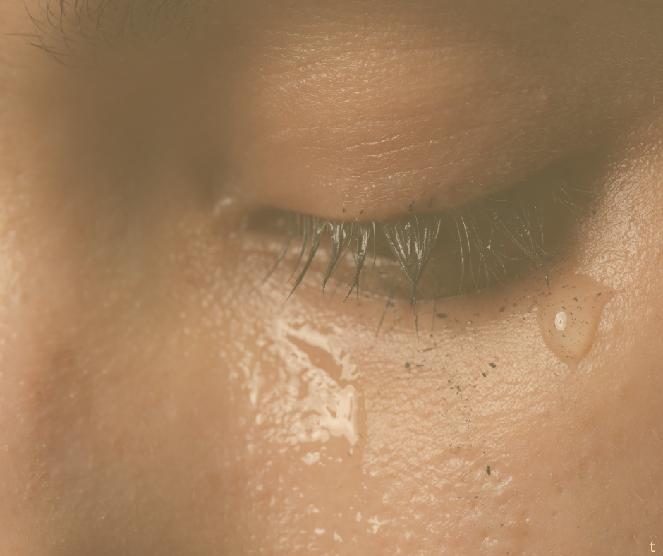 Waarom het oké is om net zo hard te huilen om je hond als om een mens