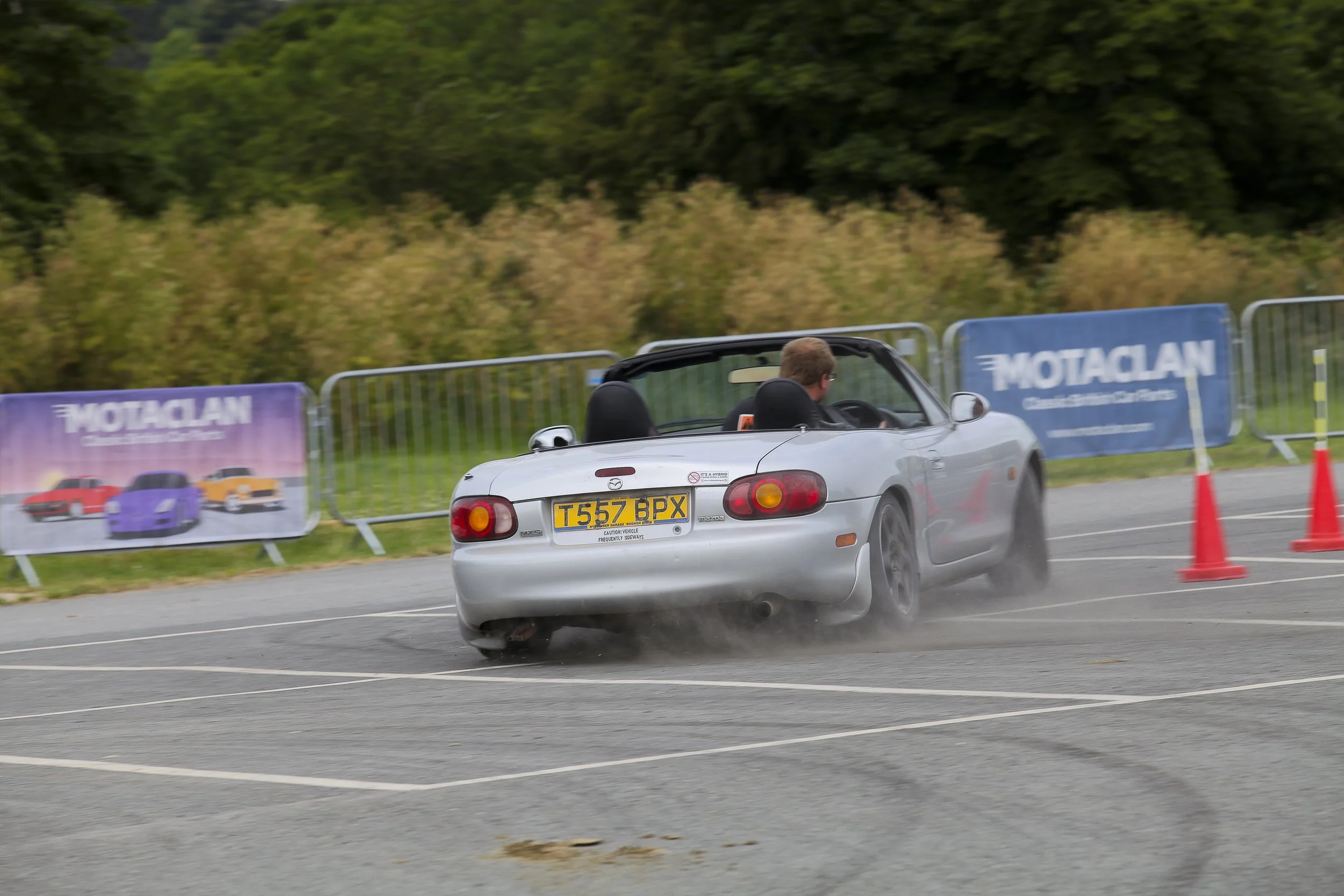 IMG_8773.jpg
