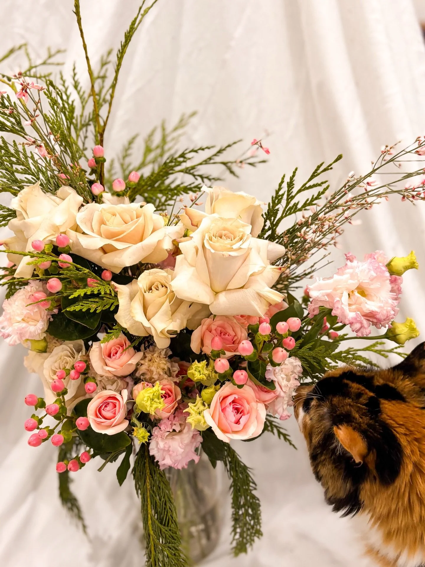 Apparently the love of flowers is universal&hellip; even Cinder approves. 🌸🐈
Studio assistant, bouquet critic, and professional stem inspector.

#flowerdesign #torontoflorist #floraldesign #flowerpower
