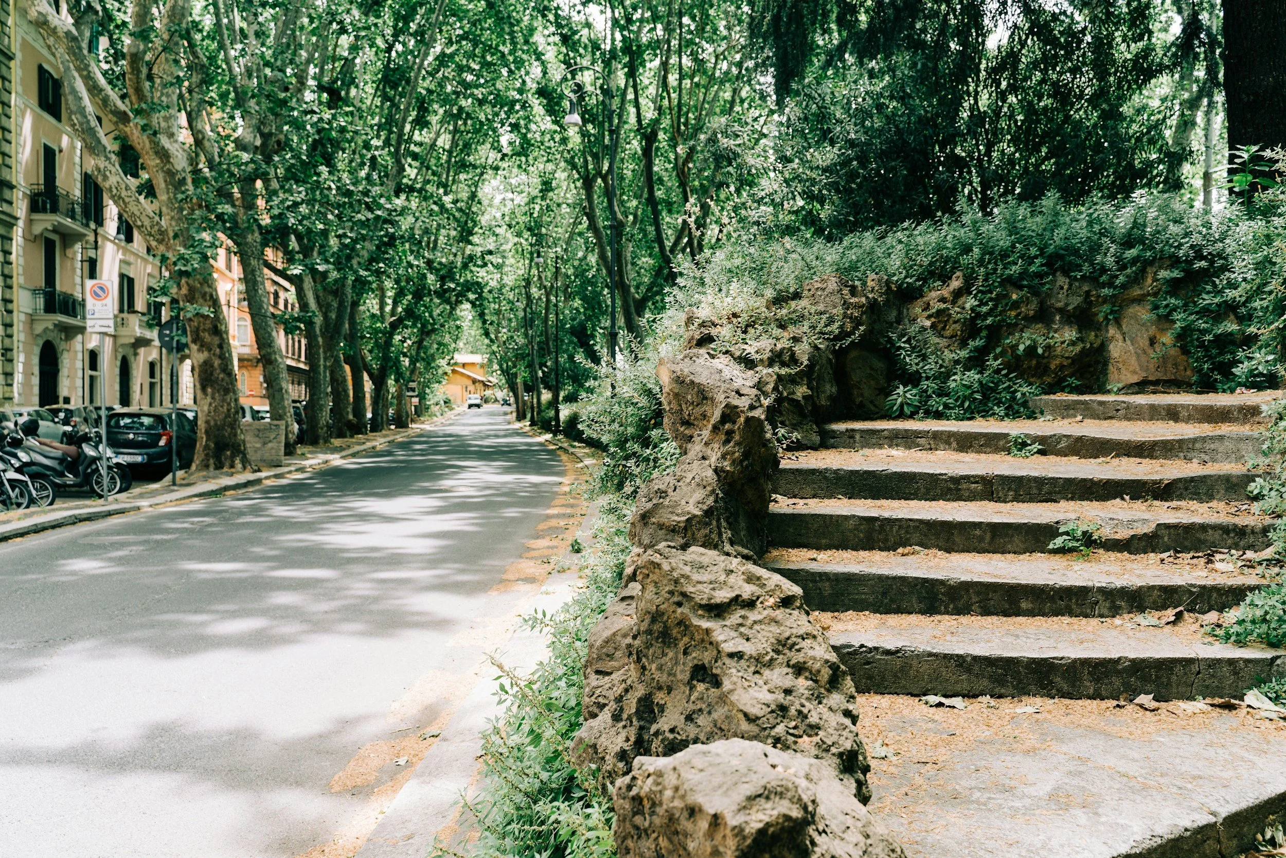 Street with parked cars and scooters, lined with trees, and a stone staircase with greenery on the right side.
