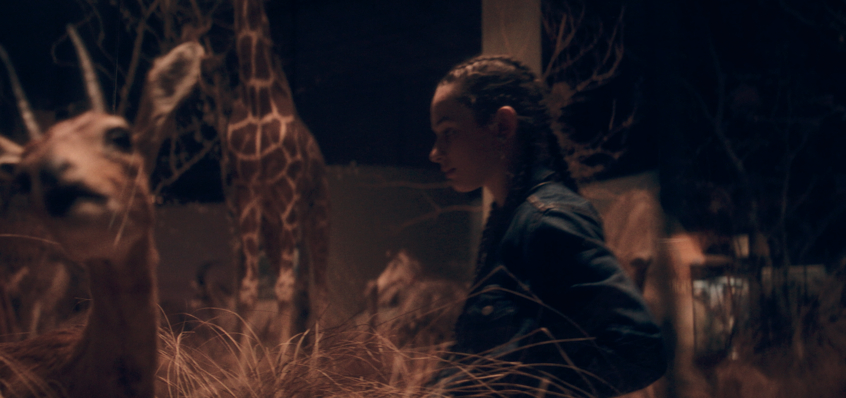 A woman with braided hair wearing a leather jacket, standing in a dimly lit room surrounded by giraffes.