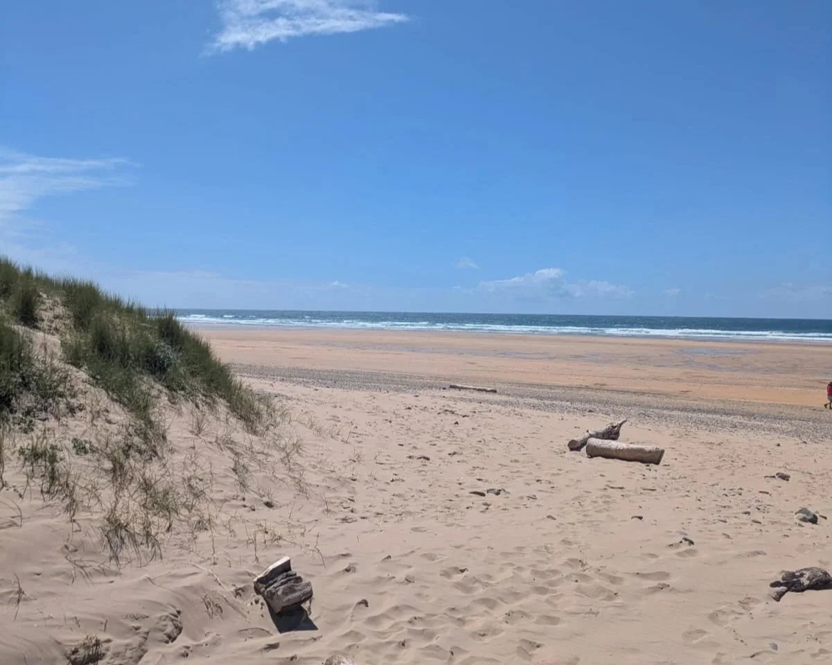 A sandy beach with a grassy dune on the left, driftwood on the sand, and ocean waves in the distance under a mostly clear blue sky.