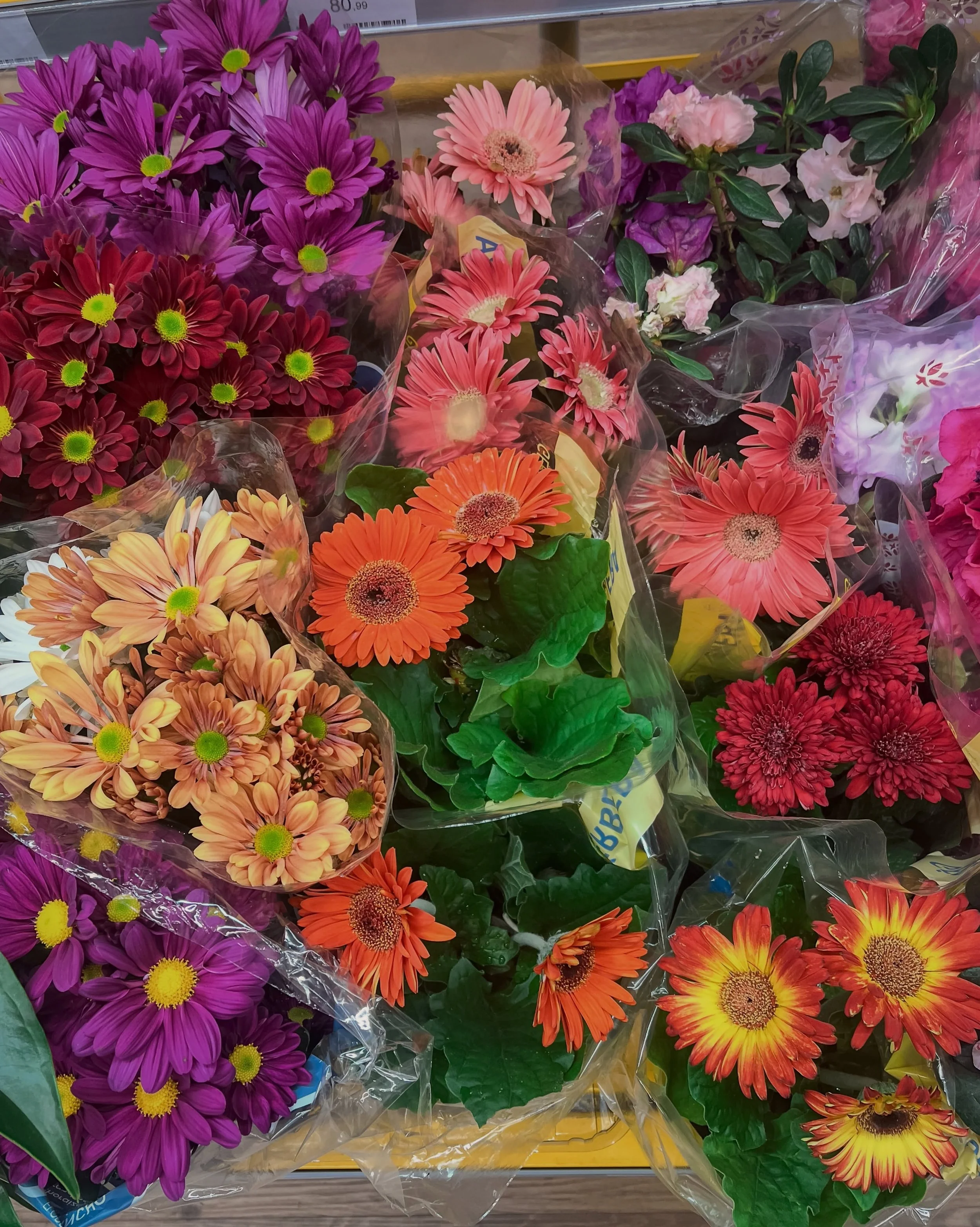 vim florir o feed 💐
