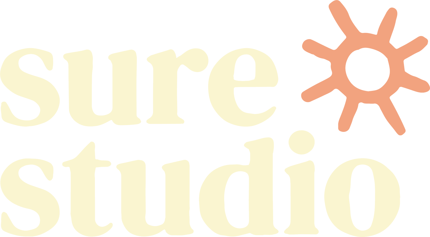 Sure Studio