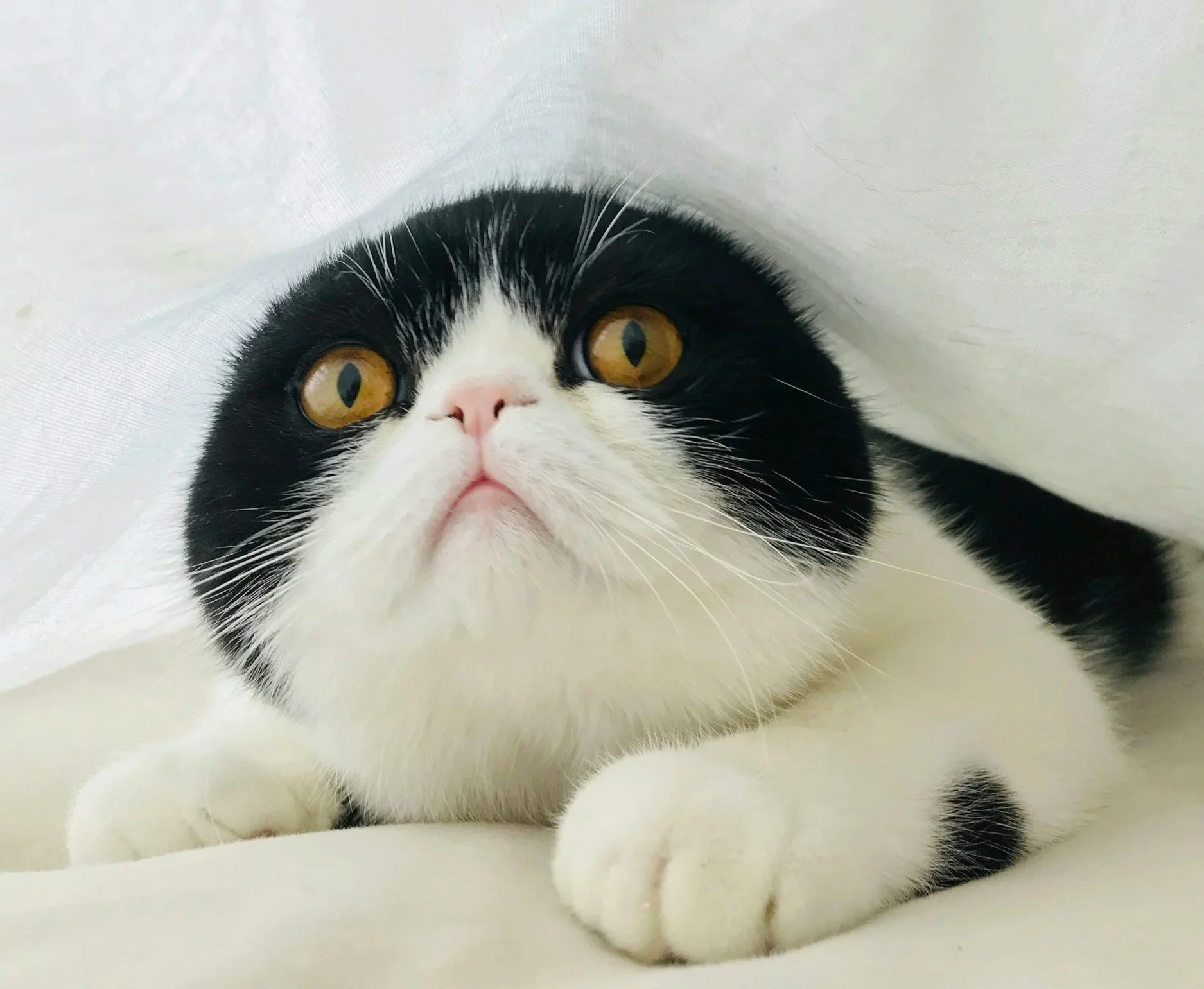 So I’m doing some research…