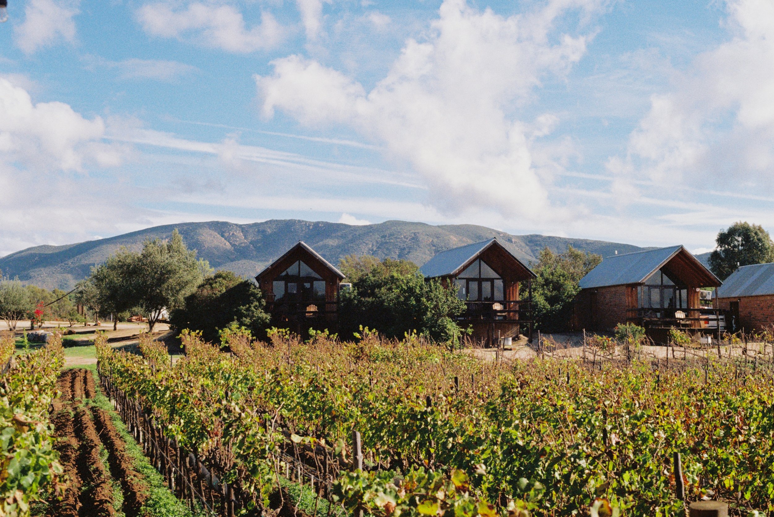 IMG3748-R01-008 copy.jpg