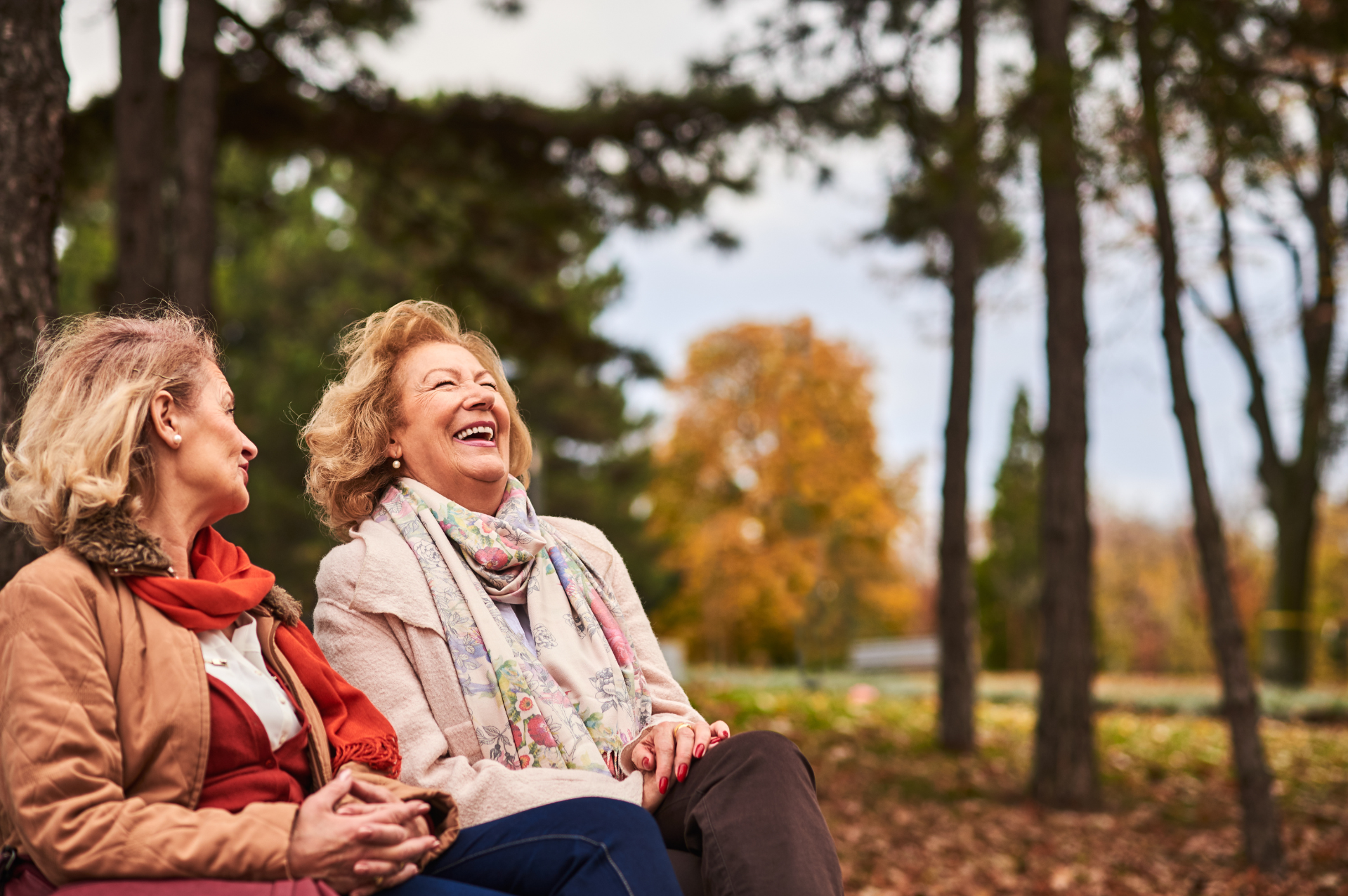 Seniors laughing on a park bench