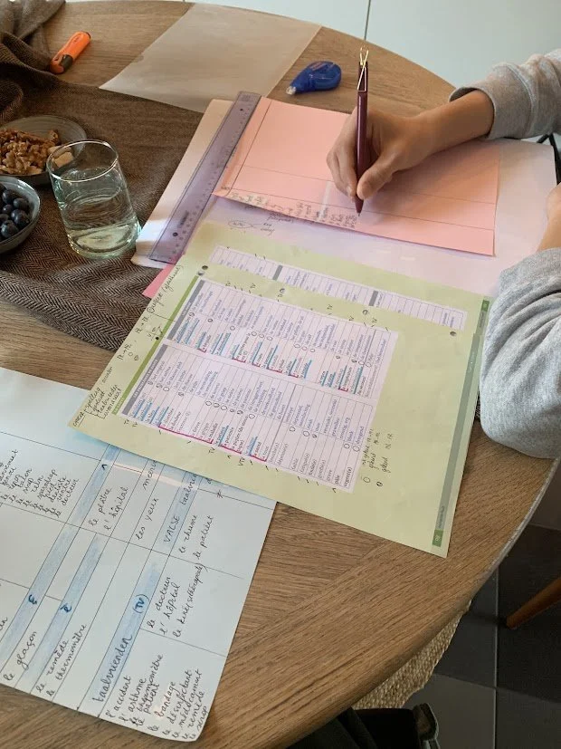 leren leren Franse woorden.jpg
