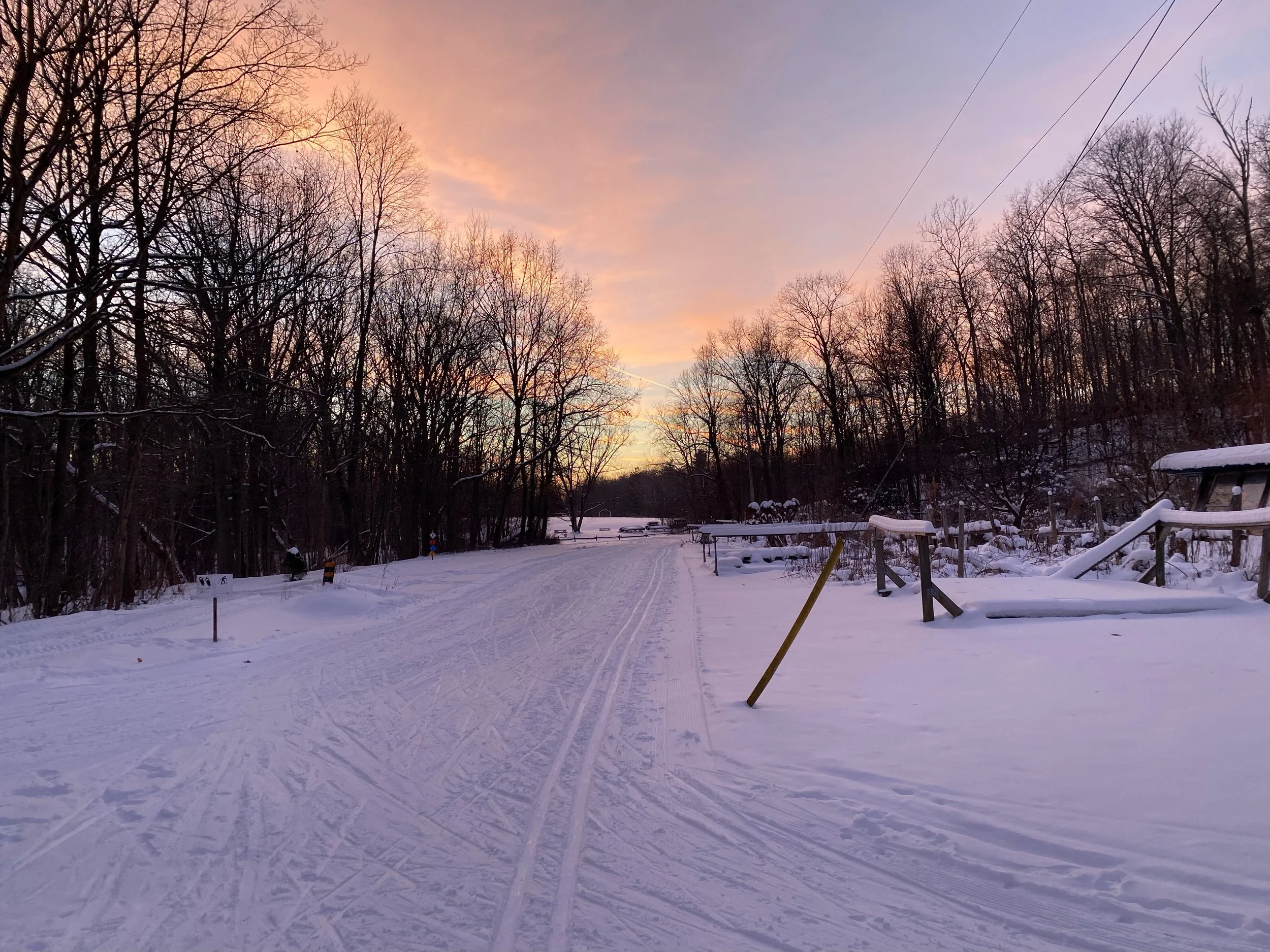 Snow-covered trail during sunset with leafless trees and utility lines in the background.