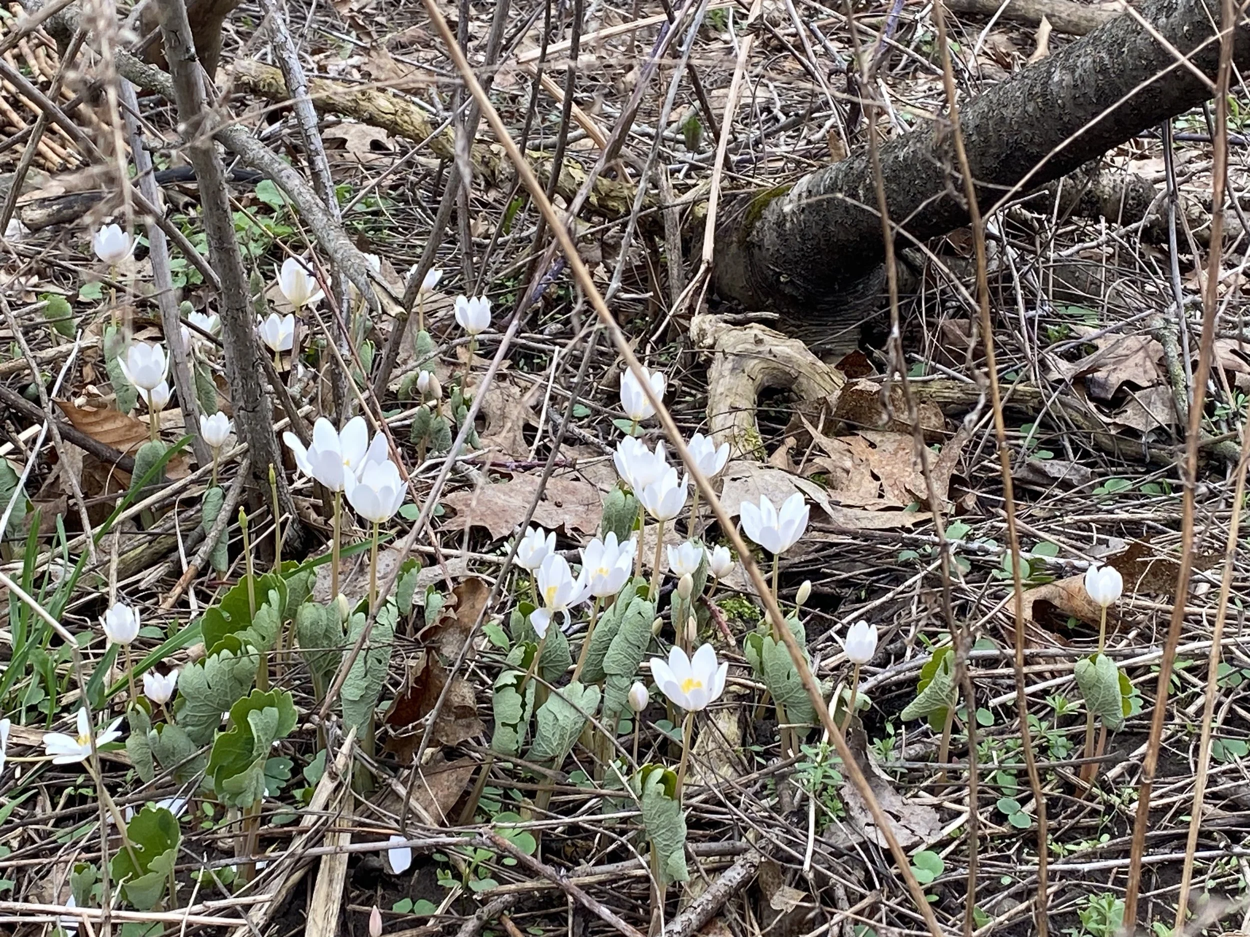 Circle R Ranch | Connect with Nature Today