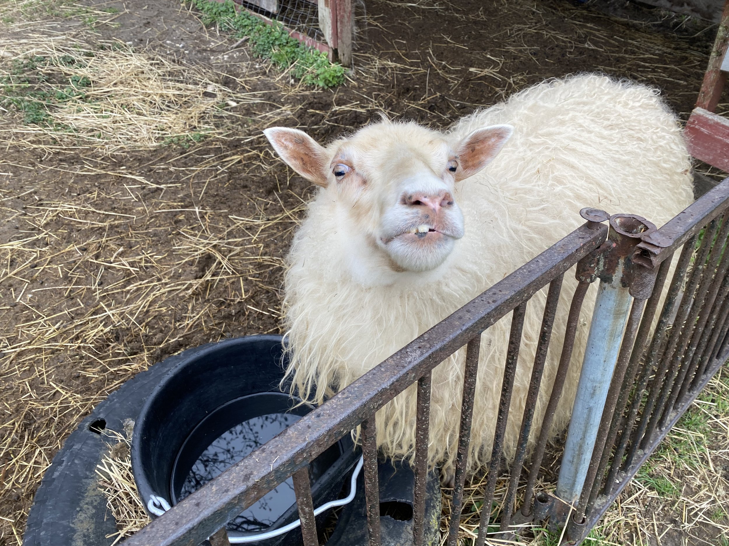 Circle R Ranch | Connect with Nature Today