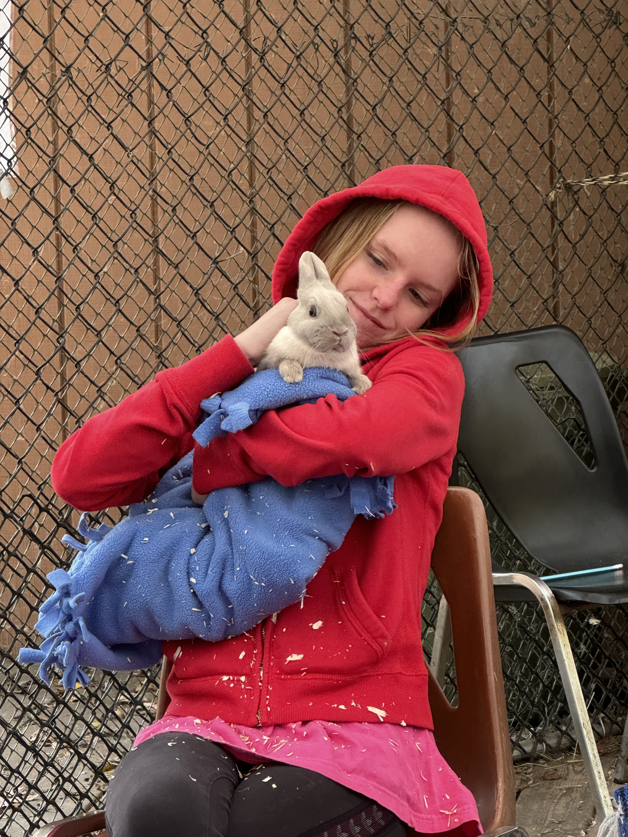 A young woman in a red hoodie and pink skirt holding a white rabbit wrapped in a blue blanket outside near a chain-link fence.