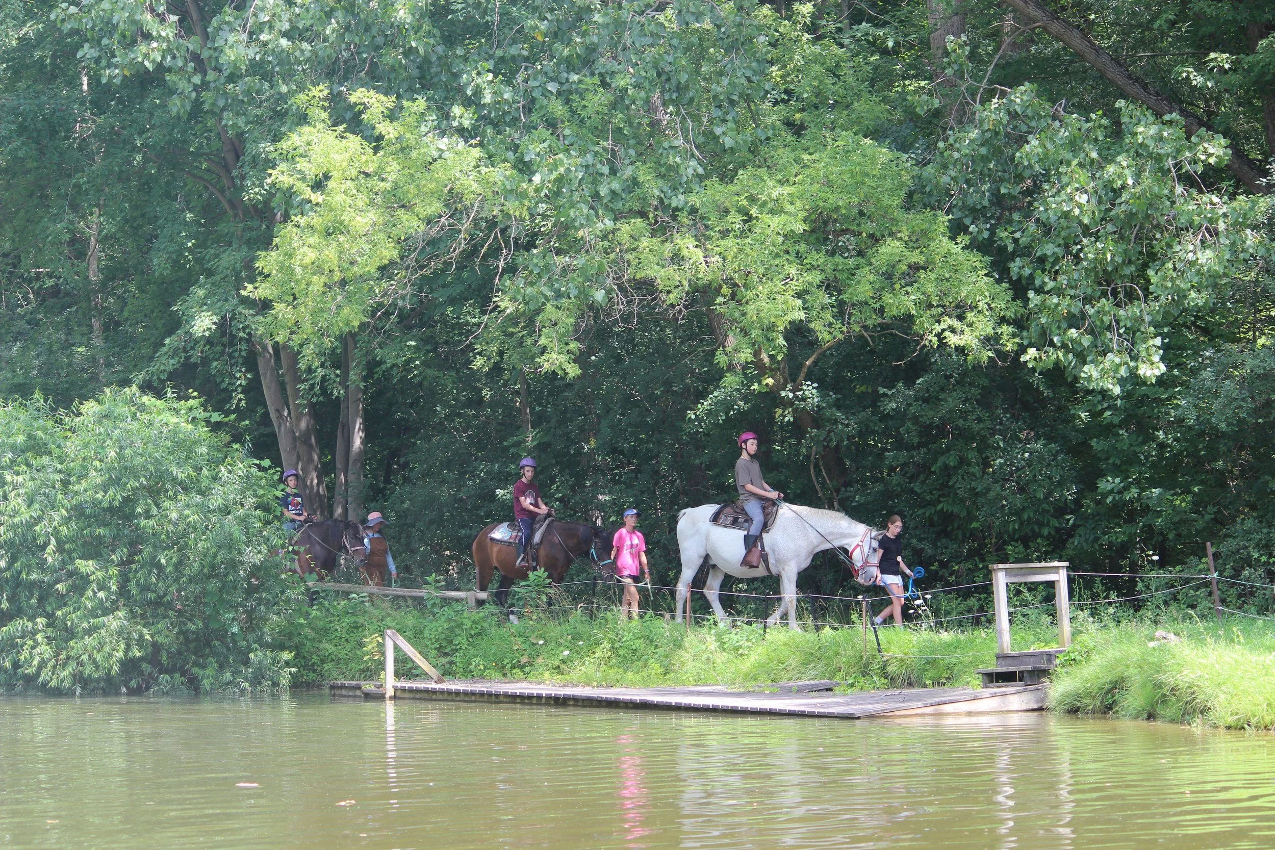 Five people riding horses along a wooded lakeshore, with trees and greenery in the background.