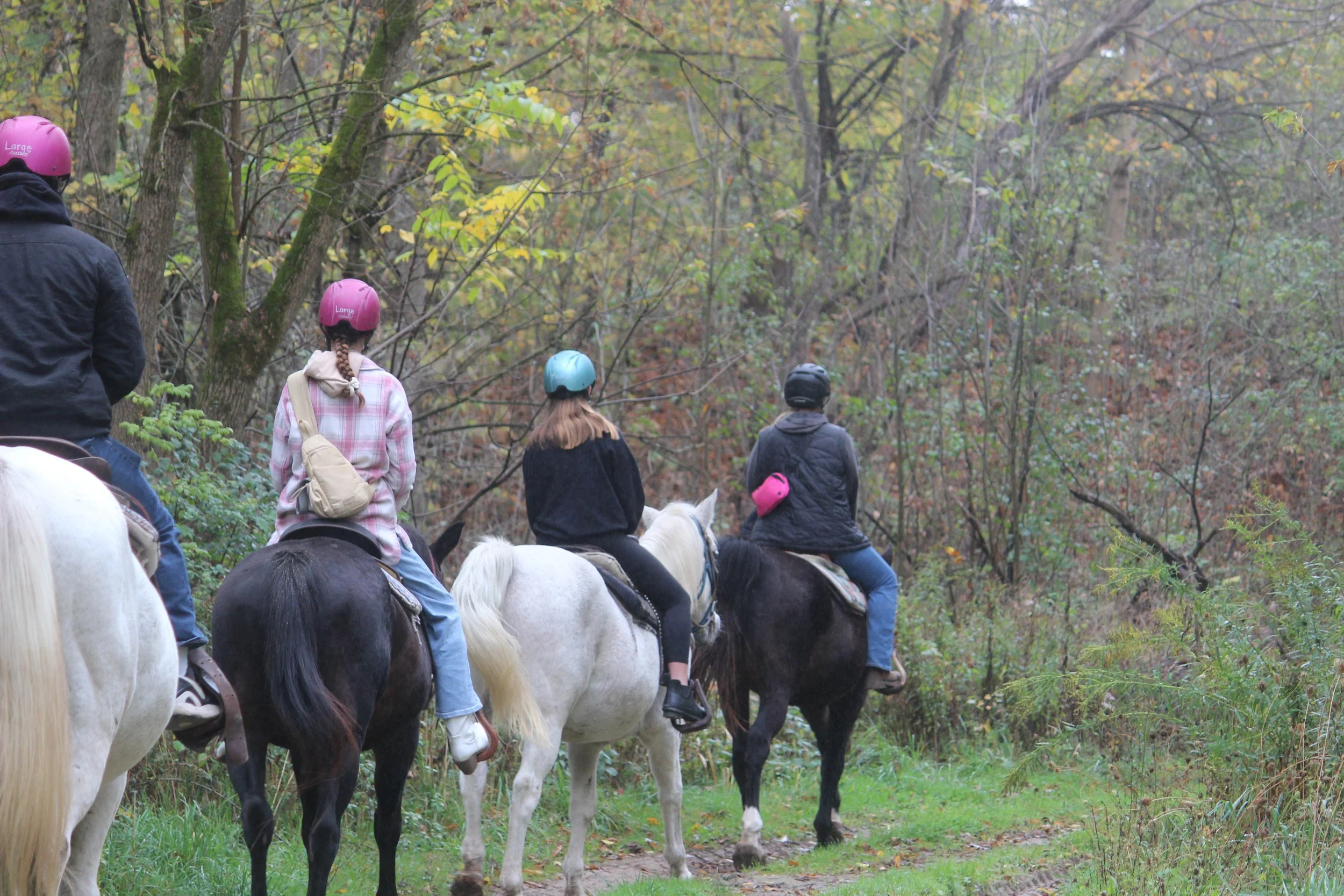 Four people riding horses on a wooded trail during fall, all wearing helmets and casual clothing.
