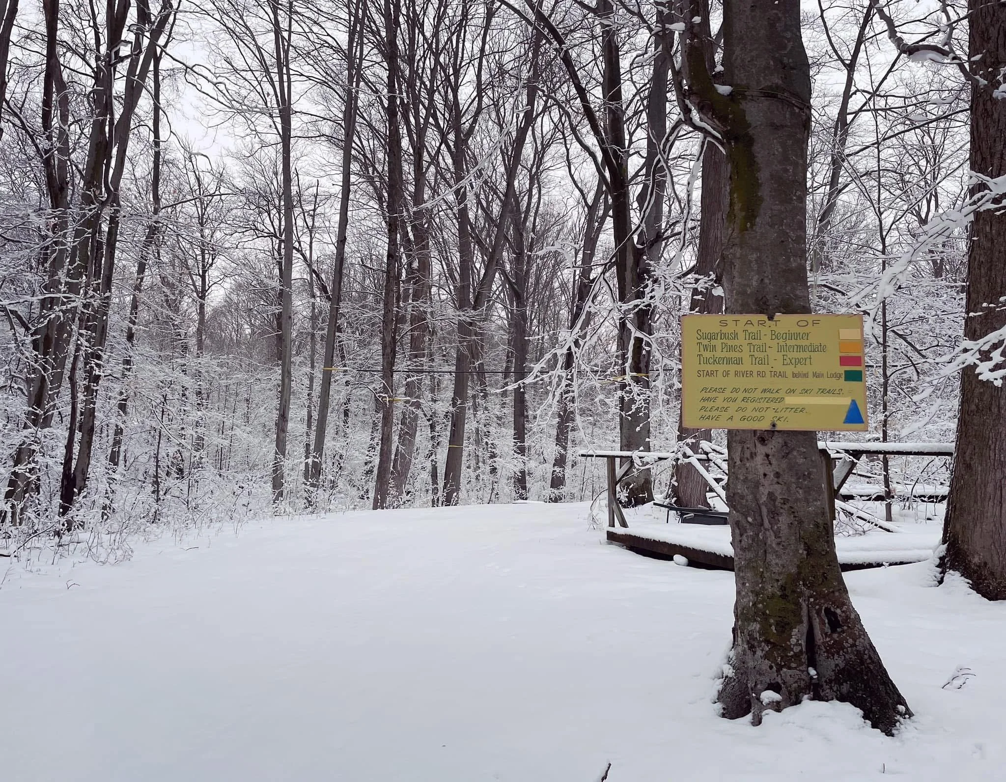 A snow-covered trail in a forest with tall leafless trees and a yellow trail sign attached to a tree in the foreground.