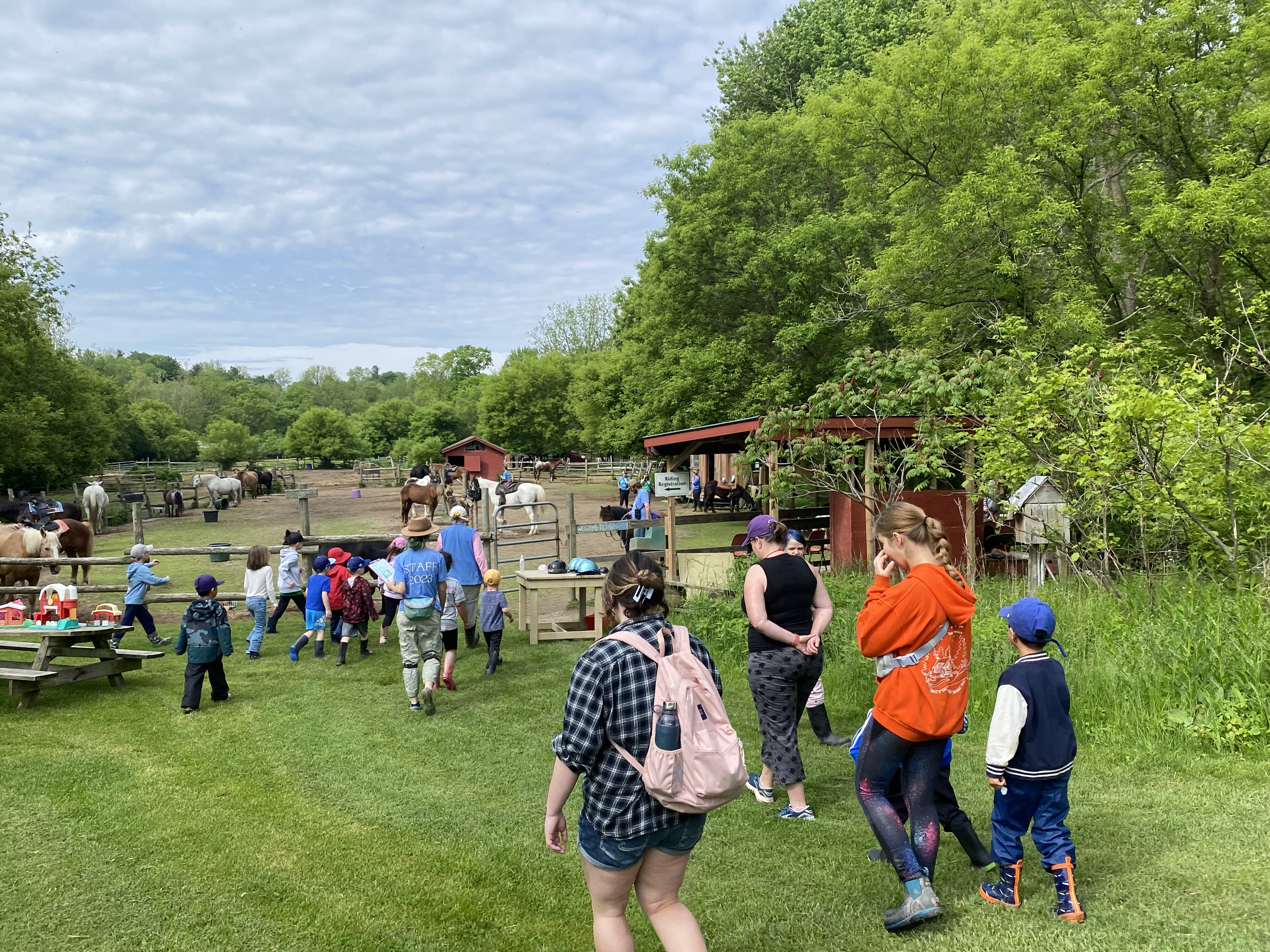 Children and adults at a petting zoo with horses, surrounded by green trees under a partly cloudy sky.