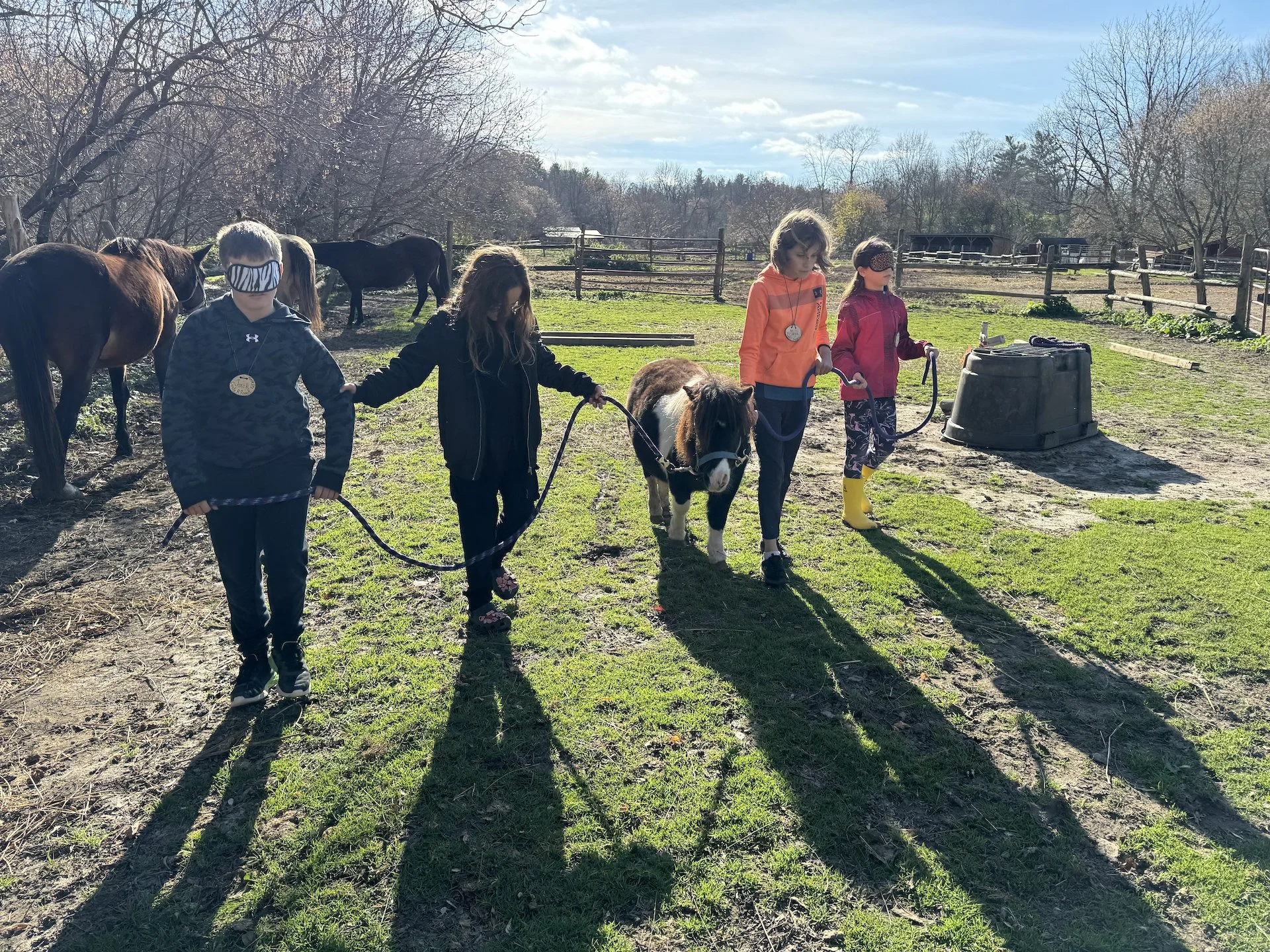 Four children walking with a pony in a fenced outdoor area, with horses in the background on a sunny day.