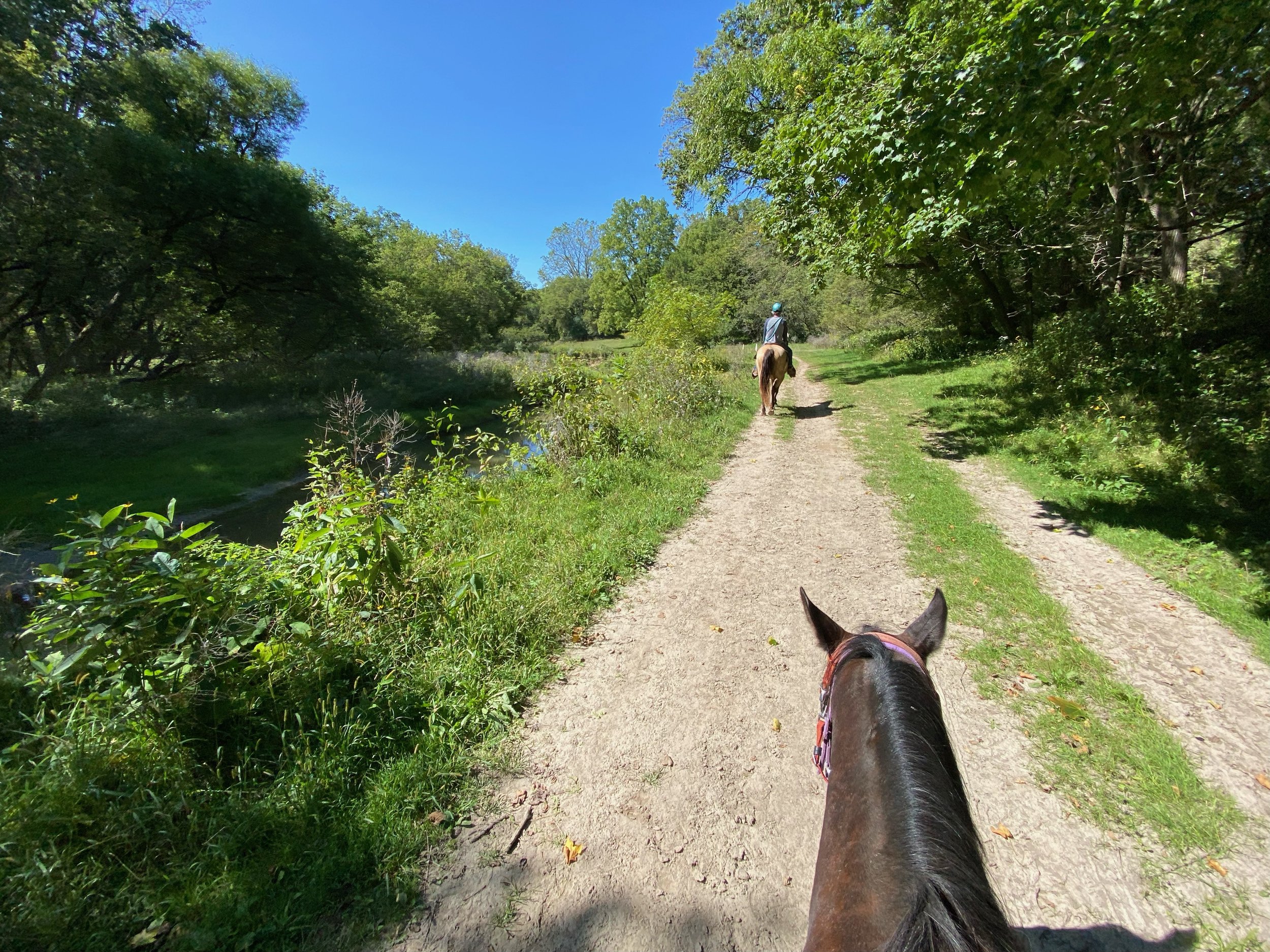 View from horseback of a person riding a horse on a dirt trail surrounded by trees and greenery, with another person riding a horse ahead.