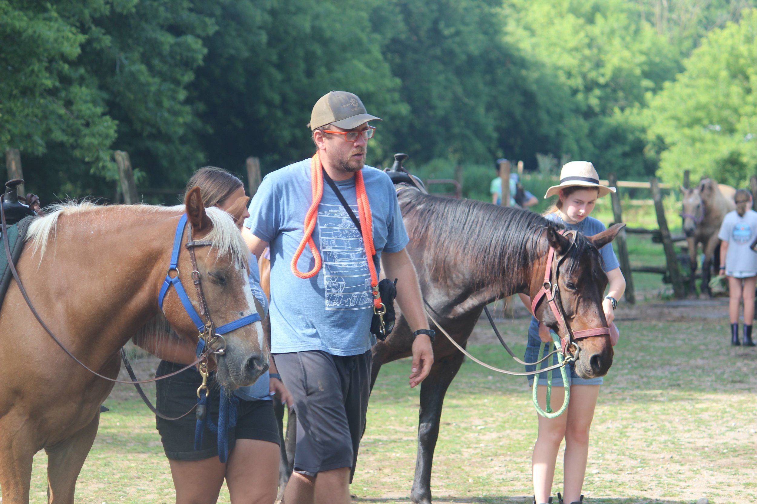 People with horses outdoors on a sunny day, surrounded by green trees, in a rural setting.