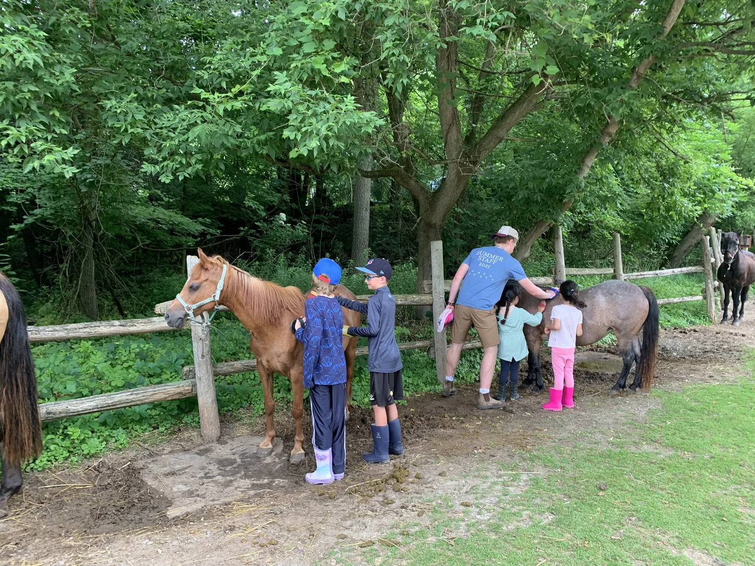 Summer Day Camp | Join the Adventure Today — Circle R Ranch