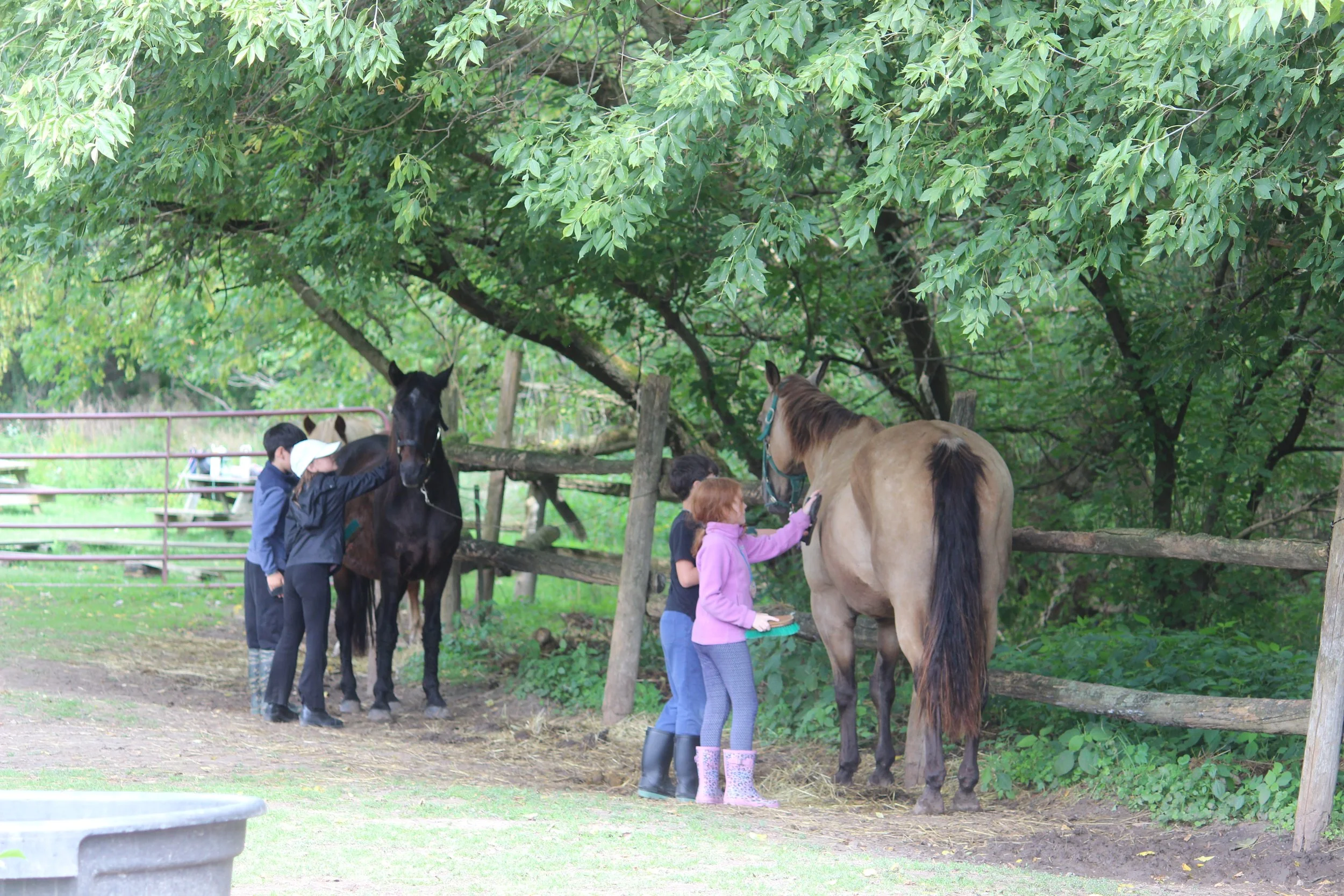 Children and adults interacting with horses in a wooded outdoor area, some children petting the horses while others prepare to mount.
