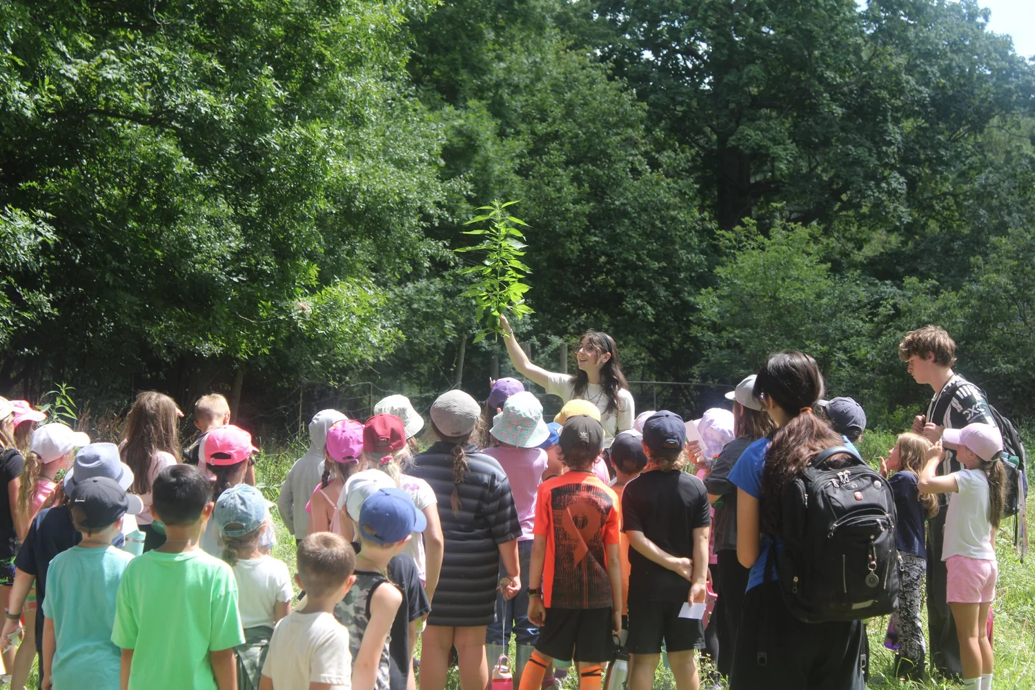 Summer Day Camp | Join the Adventure Today — Circle R Ranch