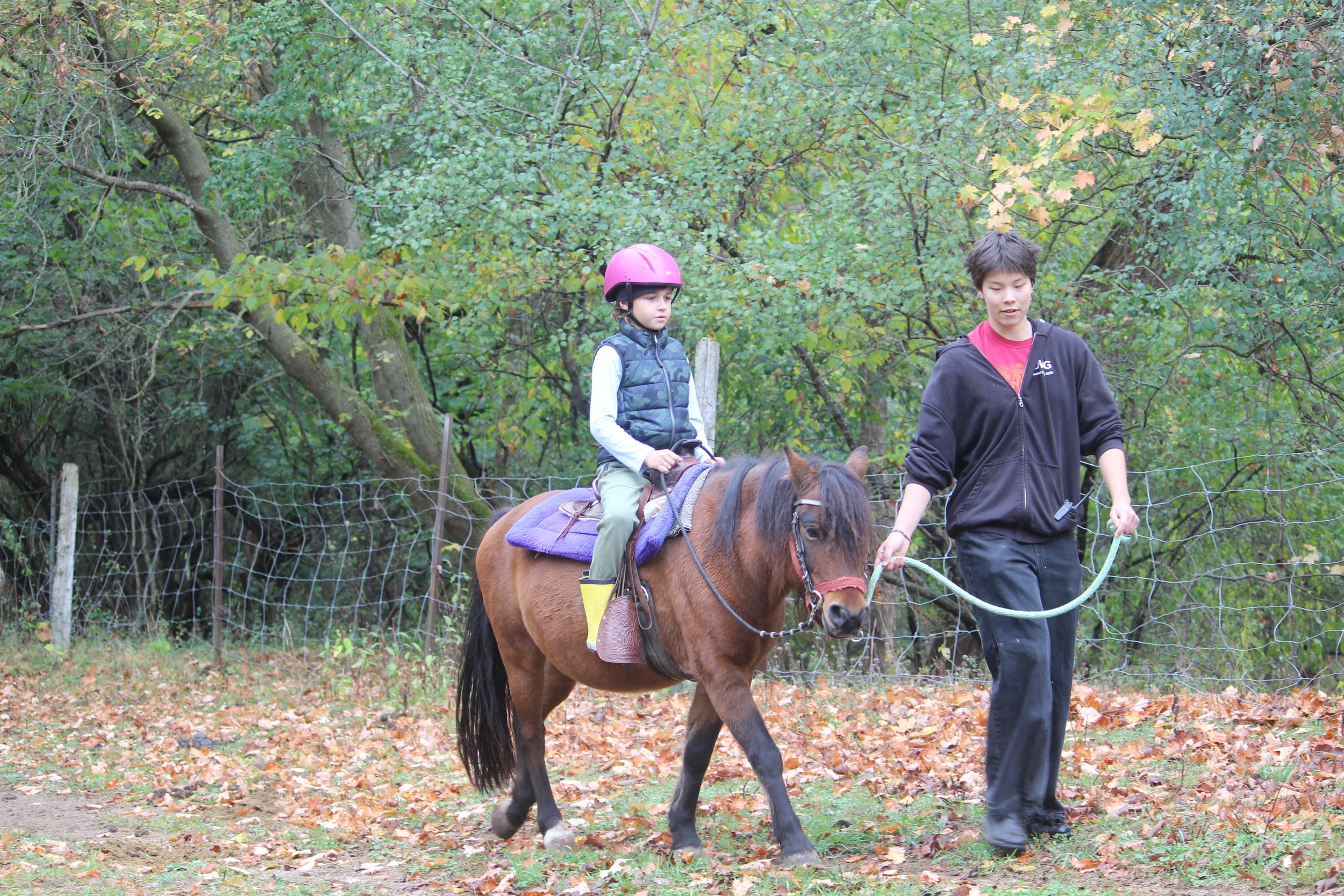 A young girl wearing a pink helmet rides a small brown horse with a purple saddle while an adult guides the horse on a leash. They are outdoors in a wooded area with fallen autumn leaves, a wire fence, and green and yellow foliage.
